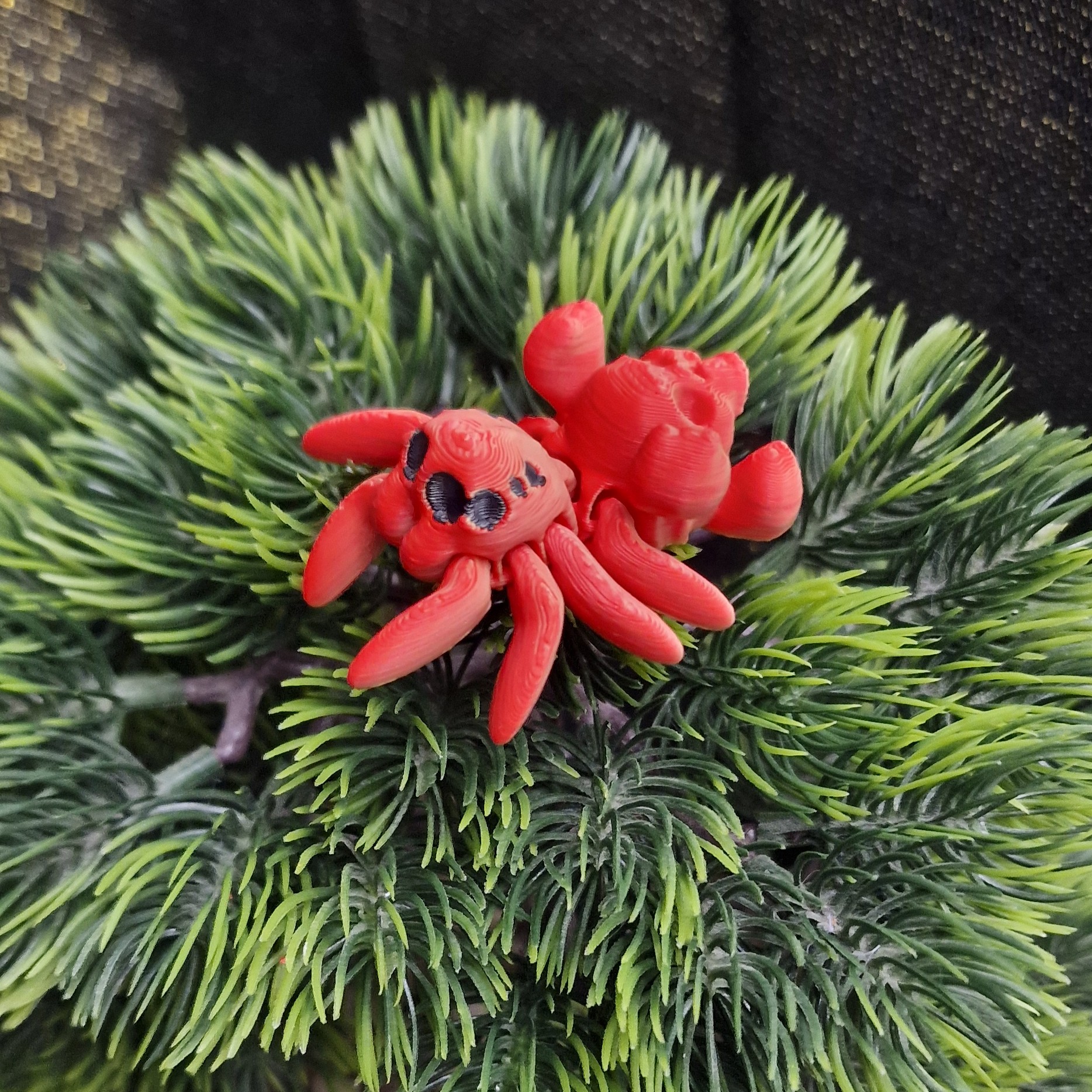 Petite Araignée aux Yeux