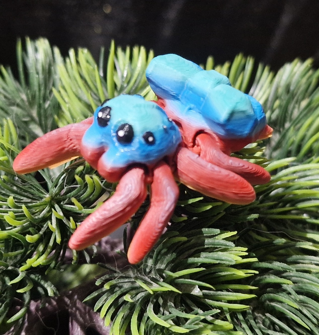 Petite araignée Nouée