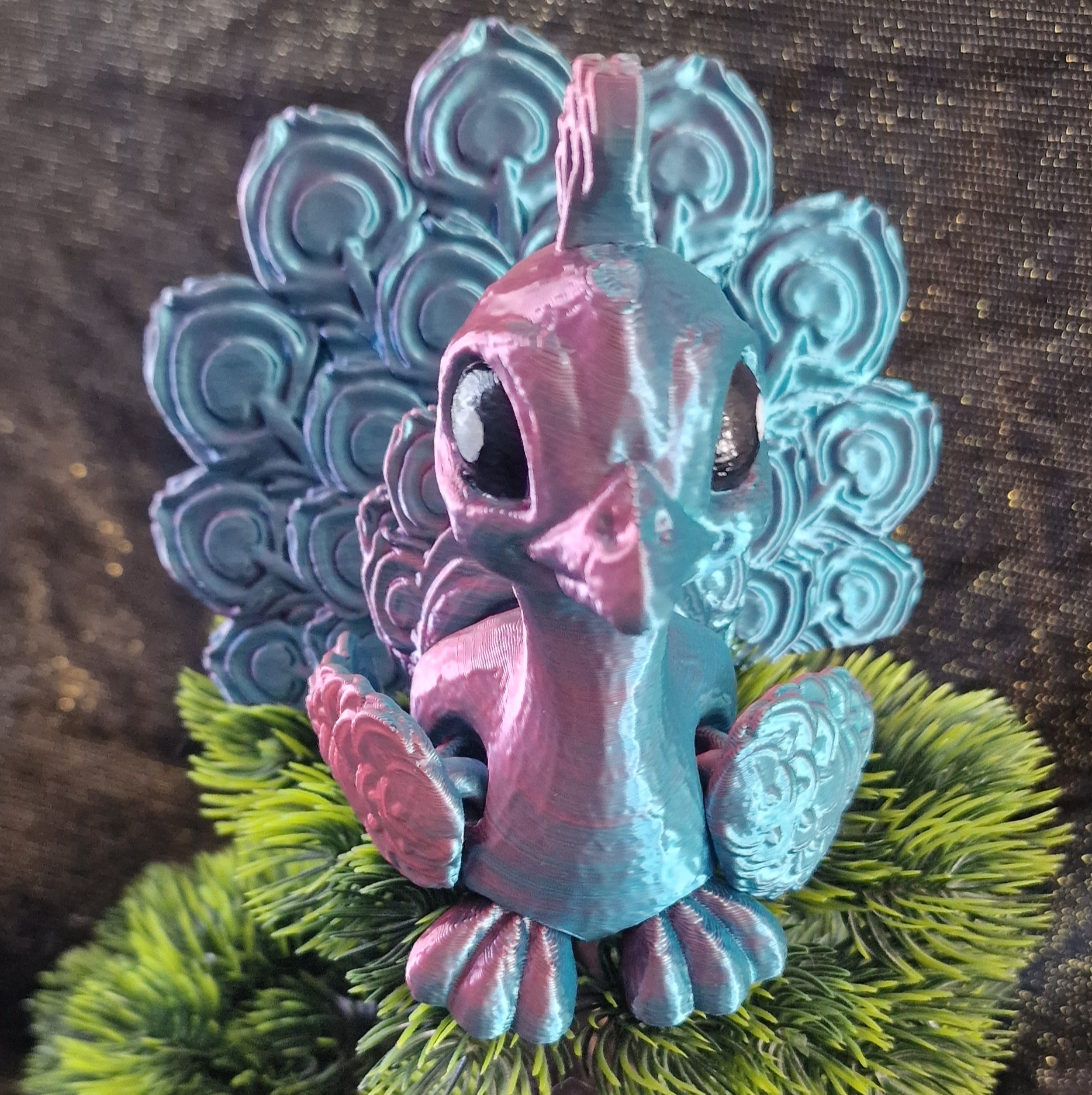 Bébé Paon