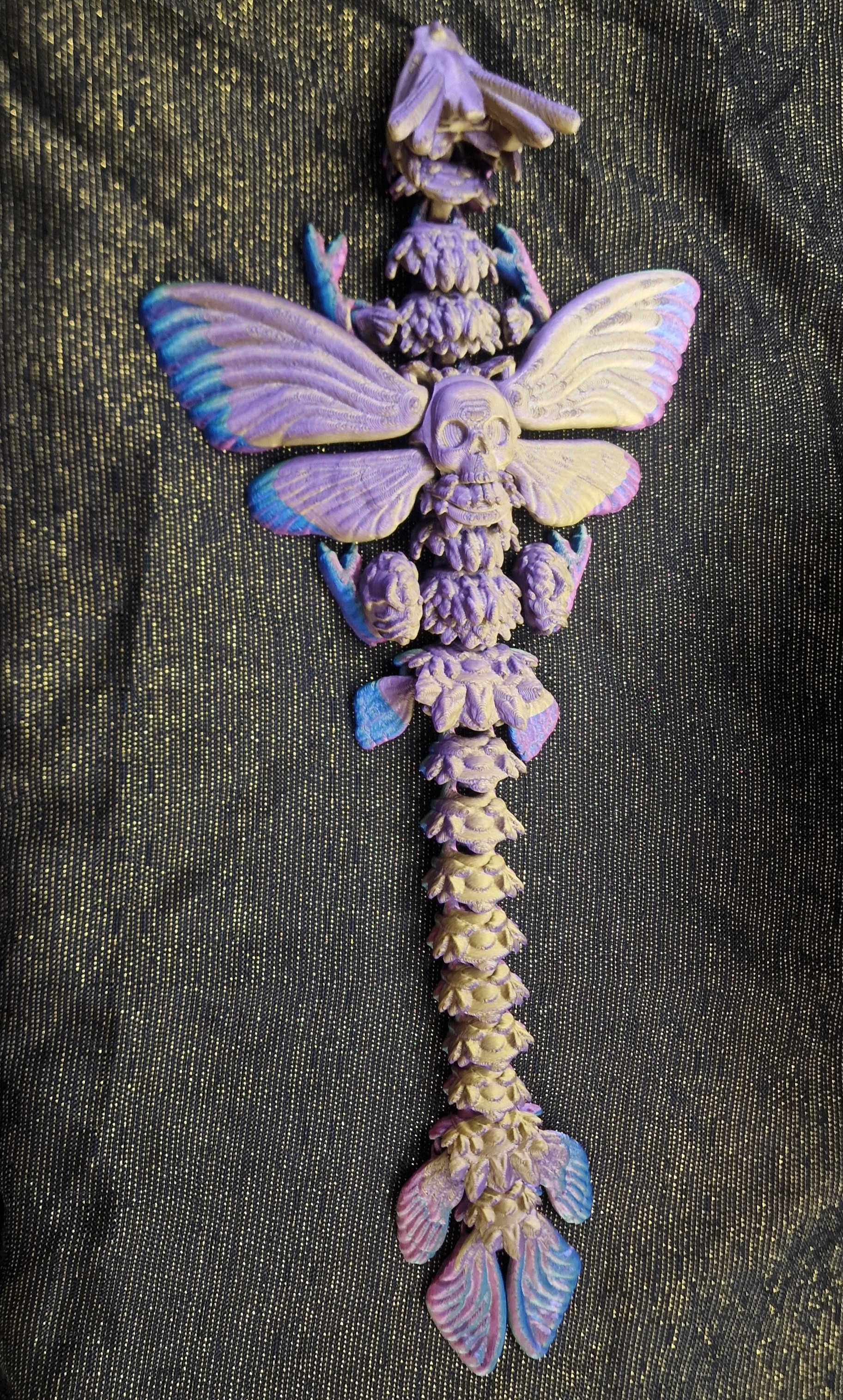 Petit Dragon-Noctuelle