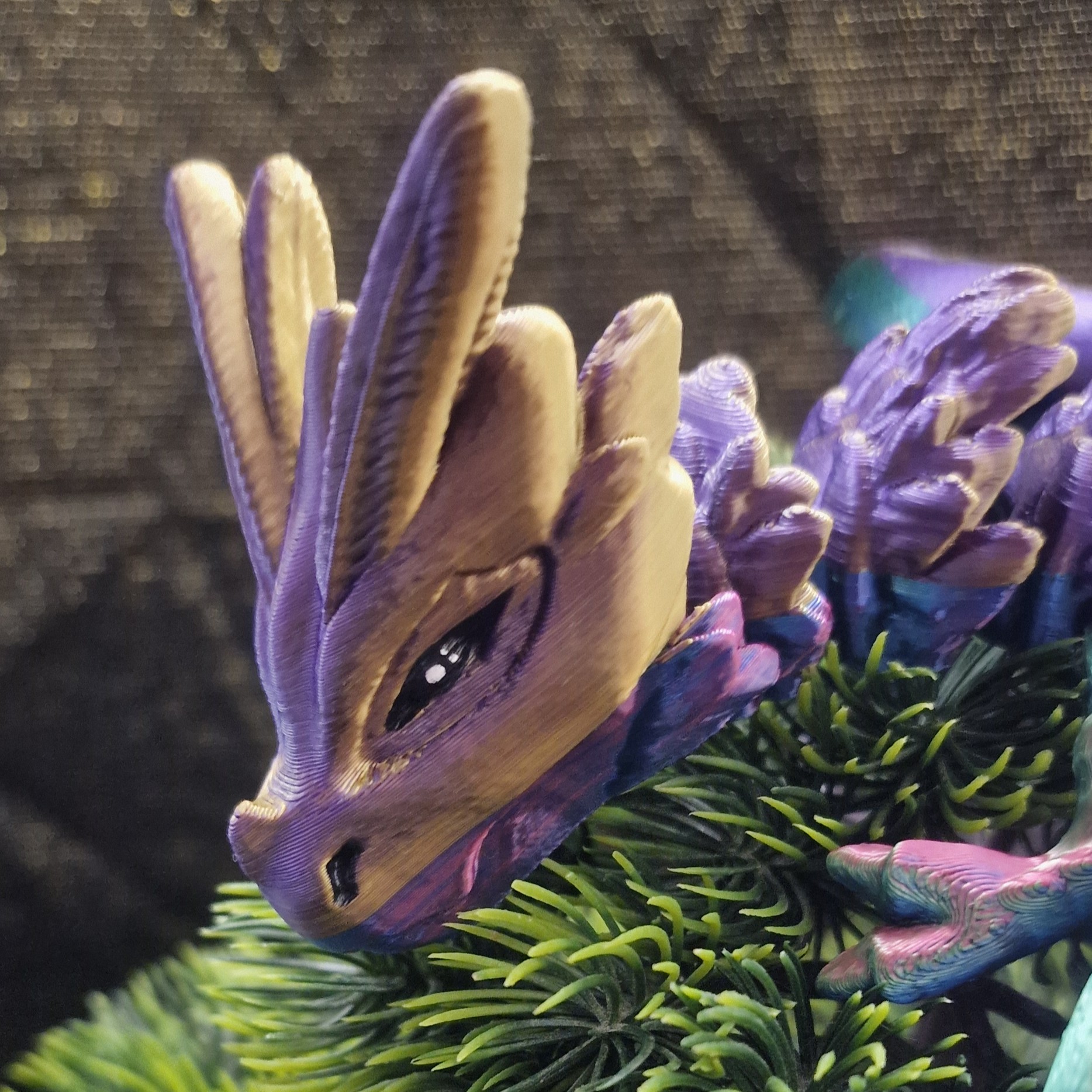 Petit Dragon-Noctuelle