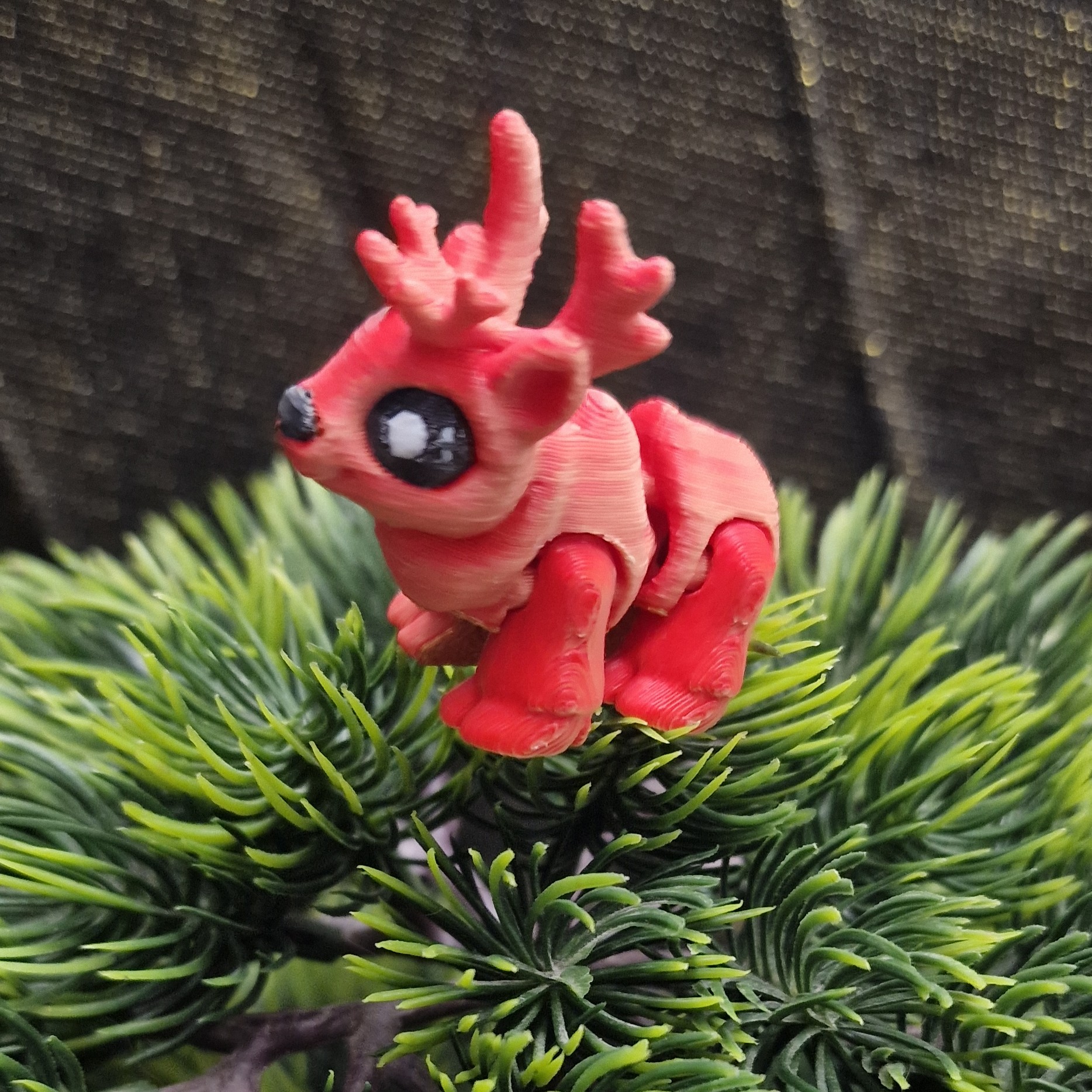 Nouveau-Né Renne Mâle