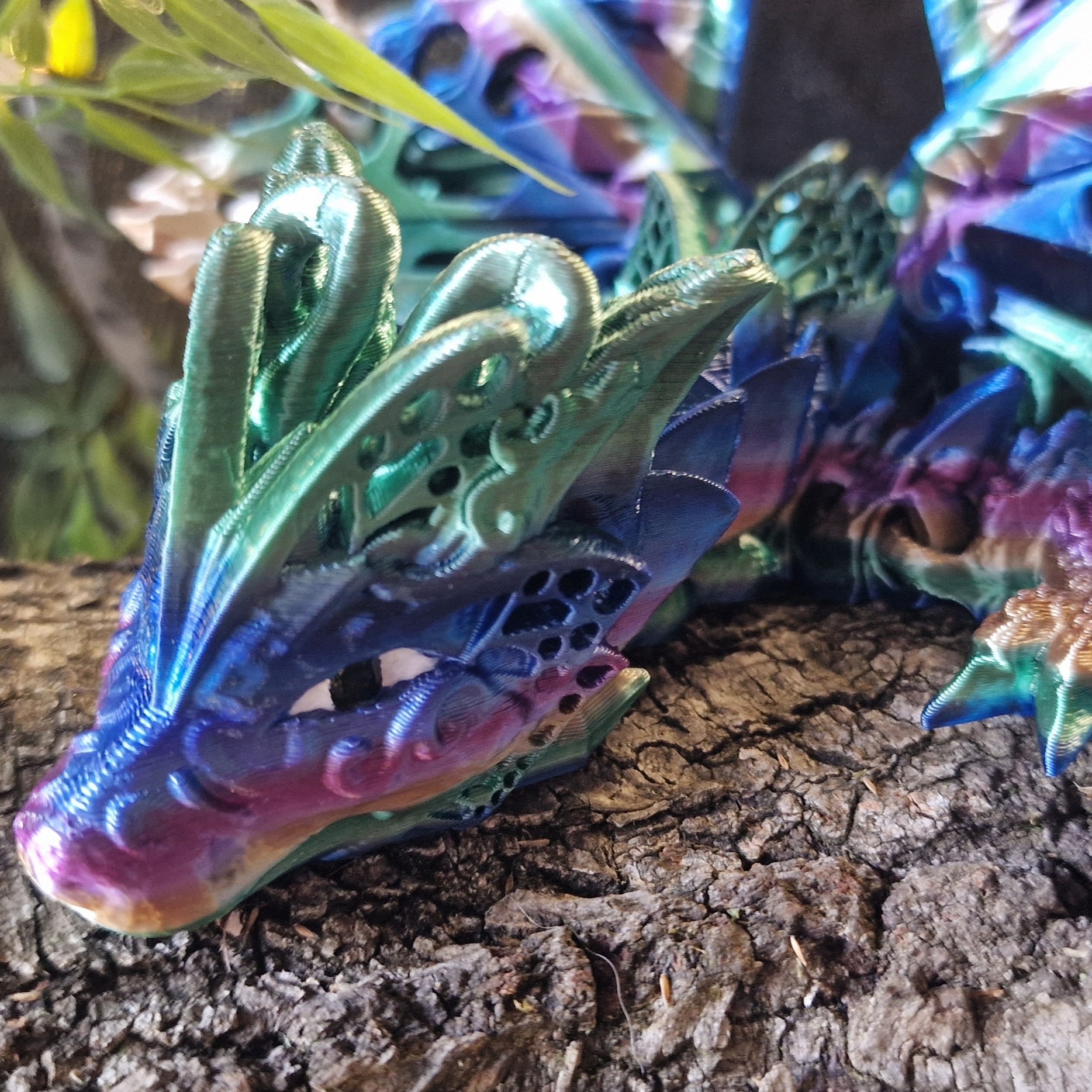 Dragon-papillon Ailé