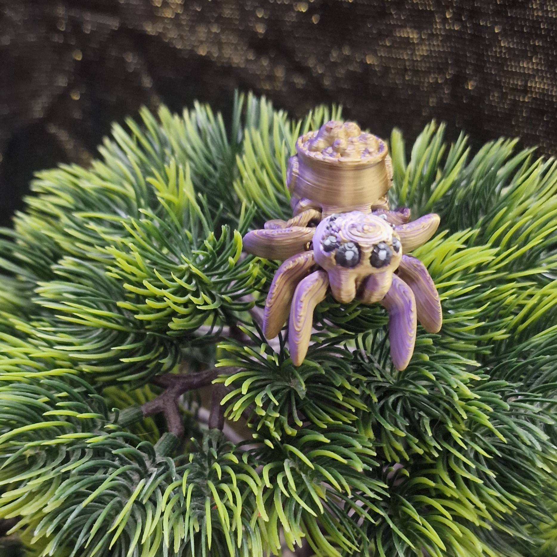 Petite Araignée Chaudron