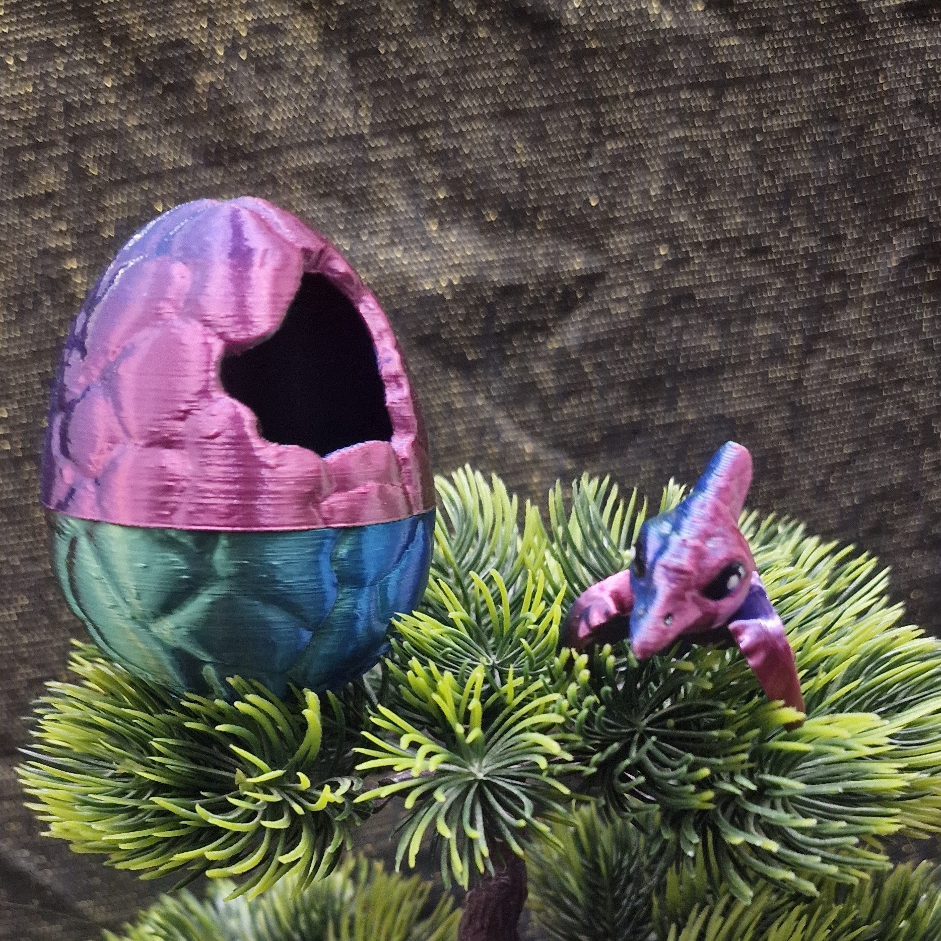 Nouveau-Né Prérodactyle Rayé