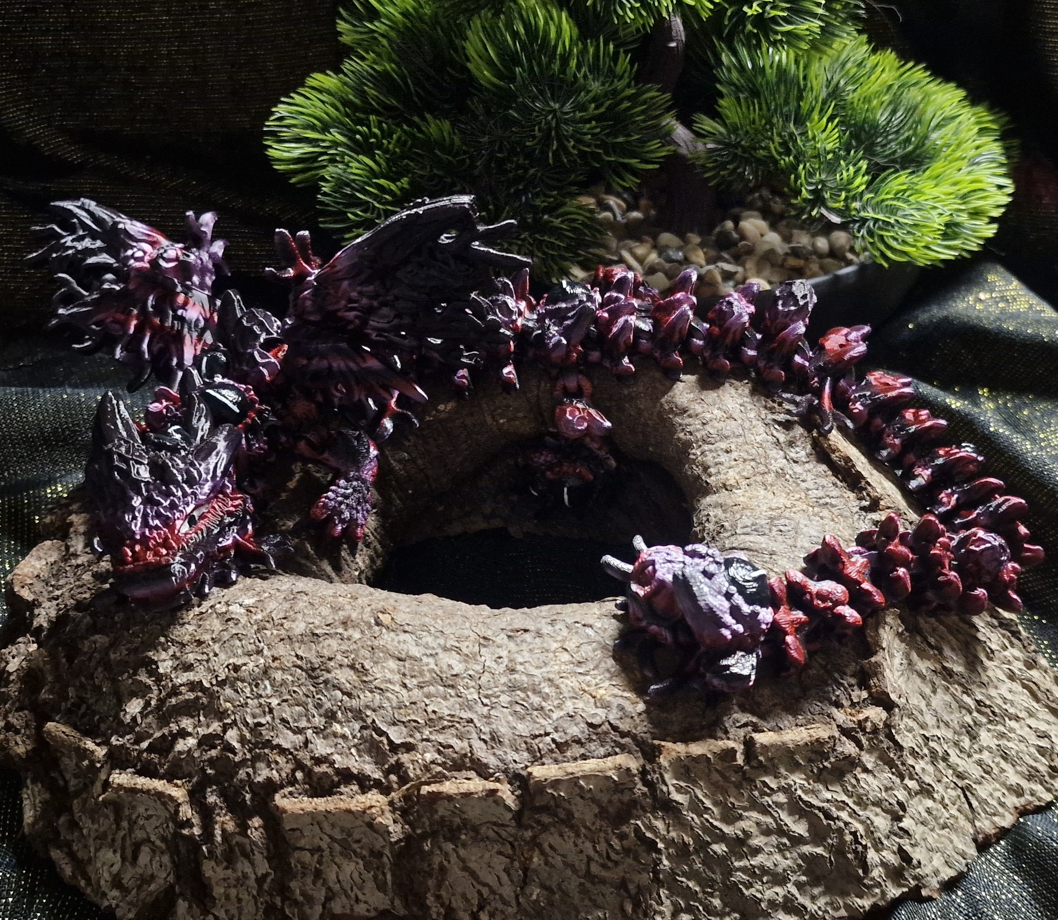Dragon Infecté Ailé