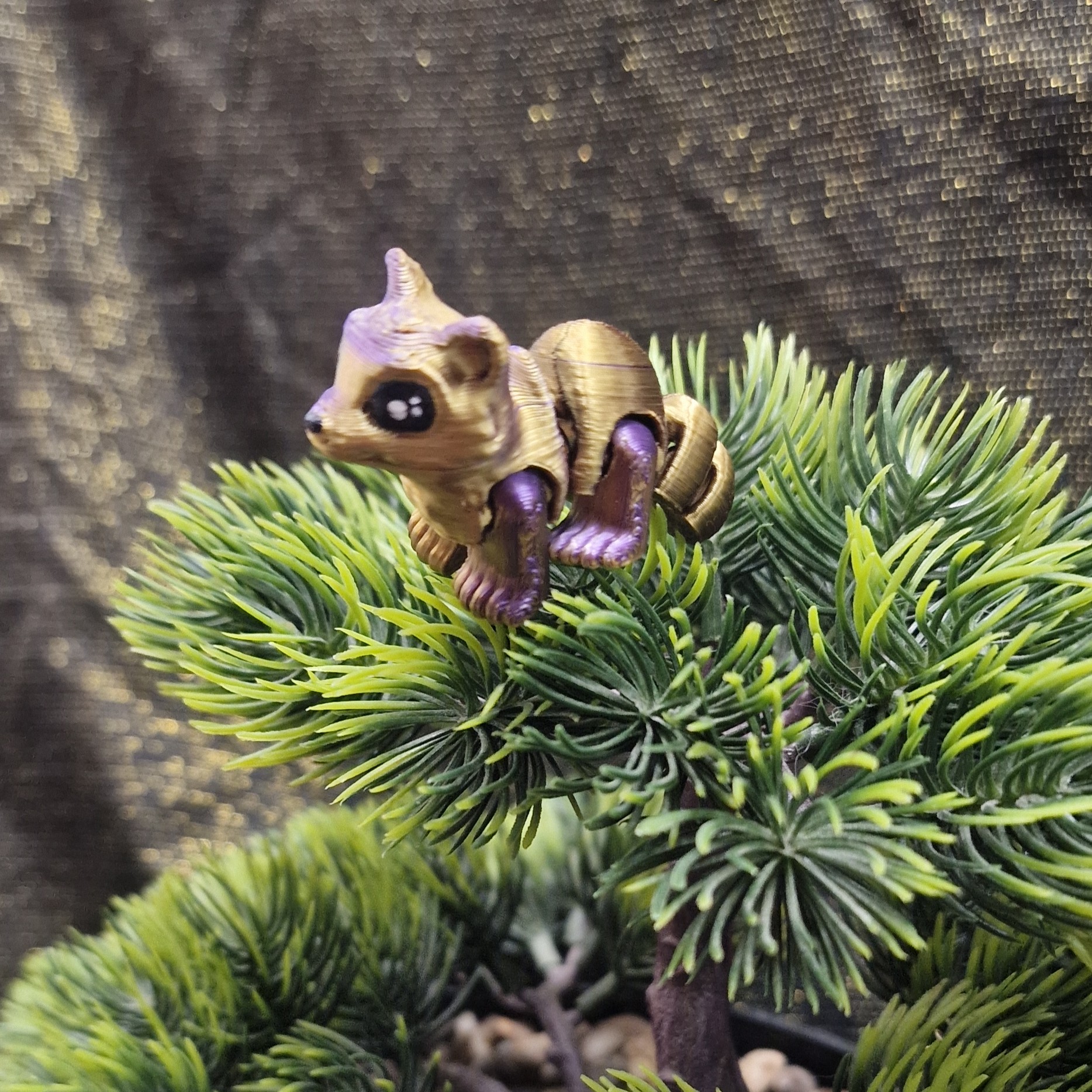 Nouveau-Né Raton-Laveur