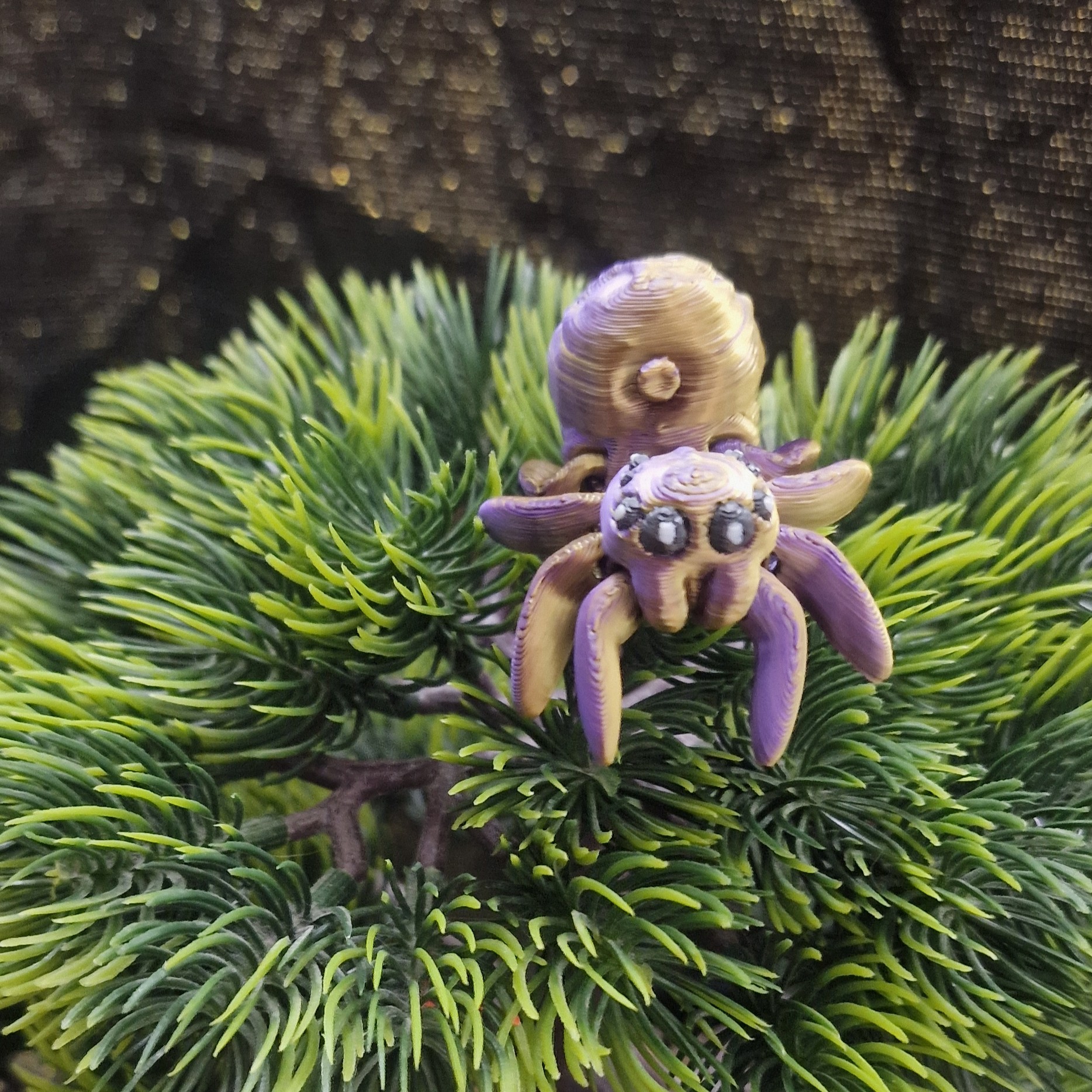 Petite Araignée en Pomme Empoisonnée