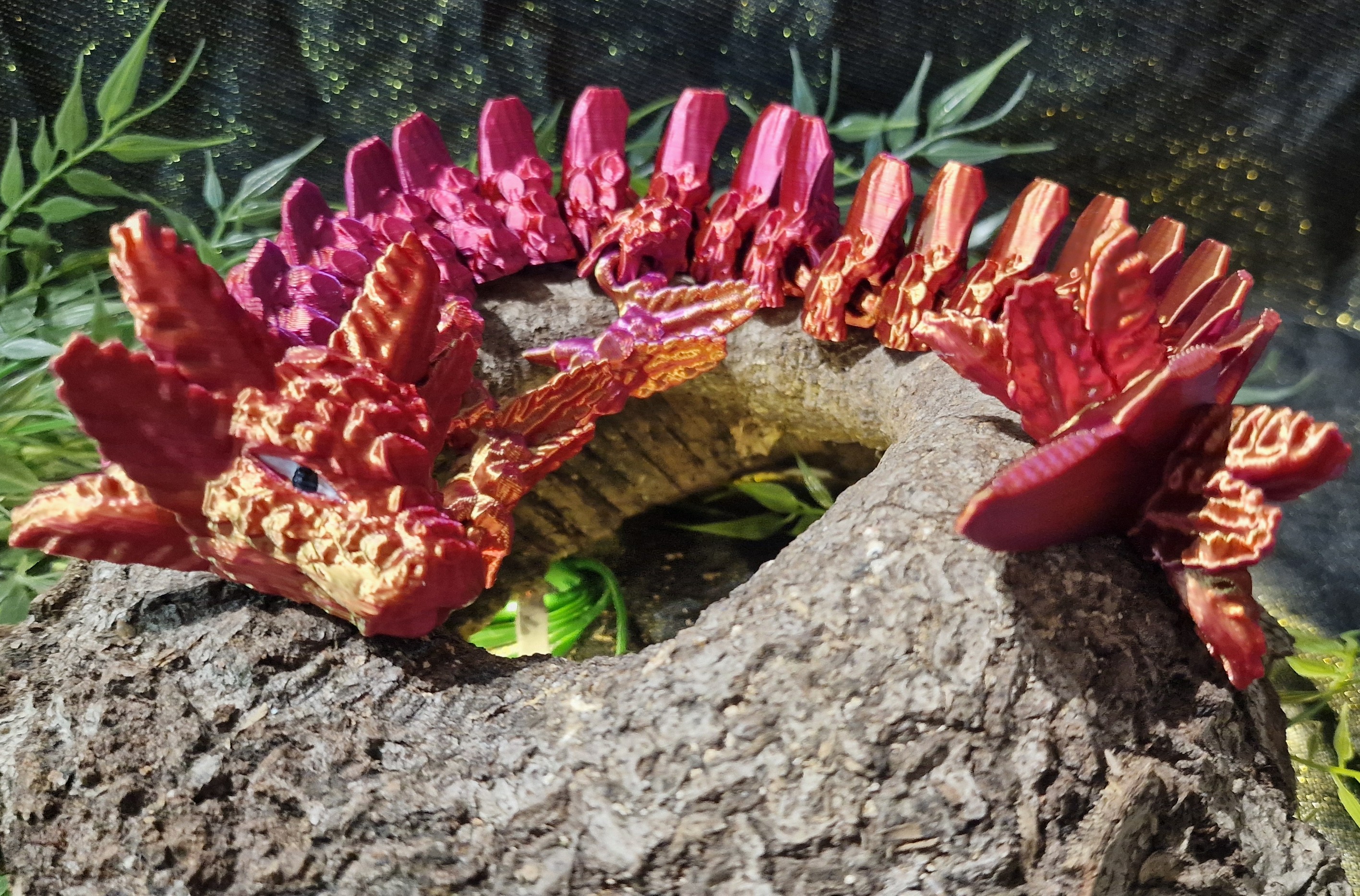 Dragon-Axolotl