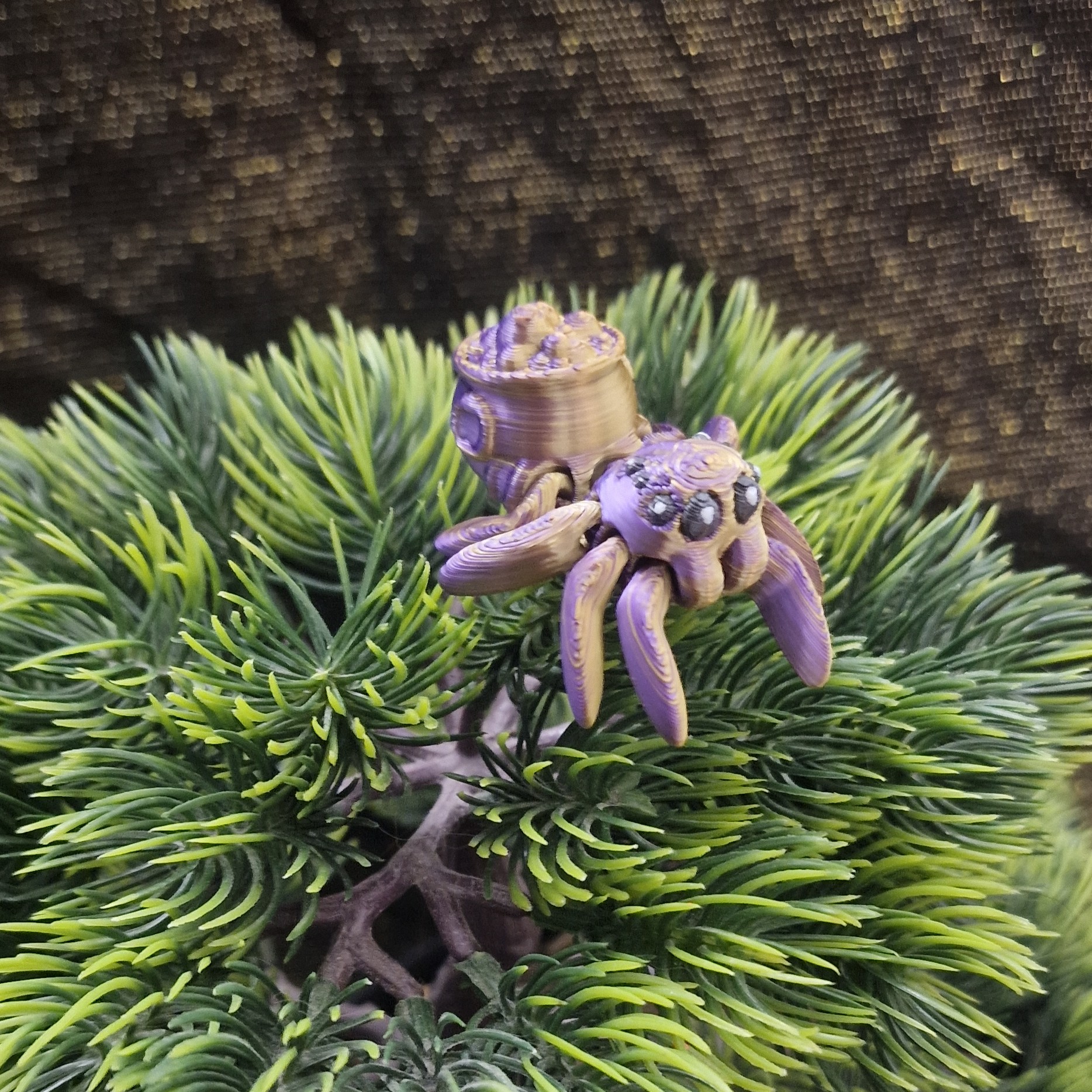 Petite Araignée Chaudron