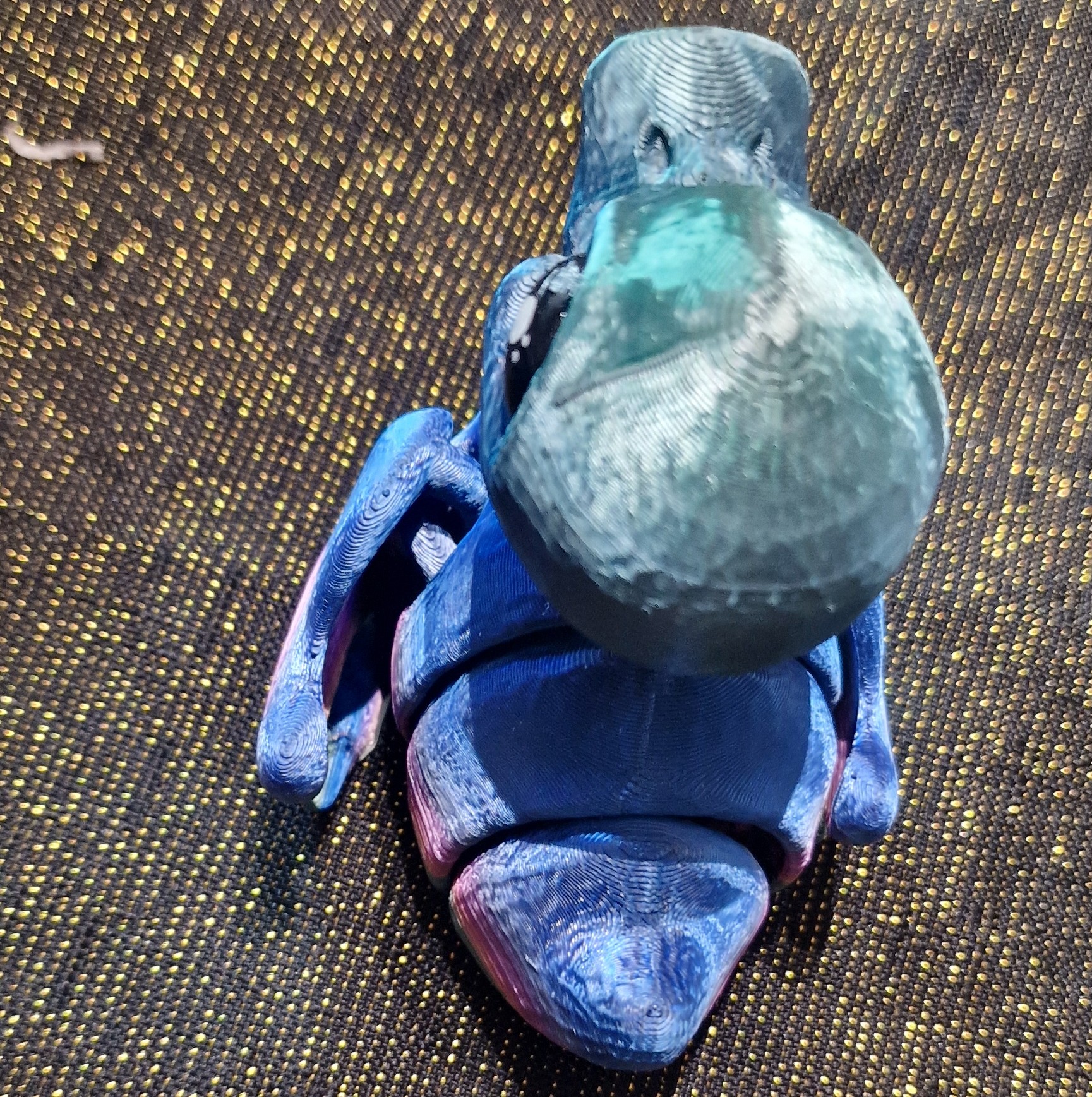 Petit Canard