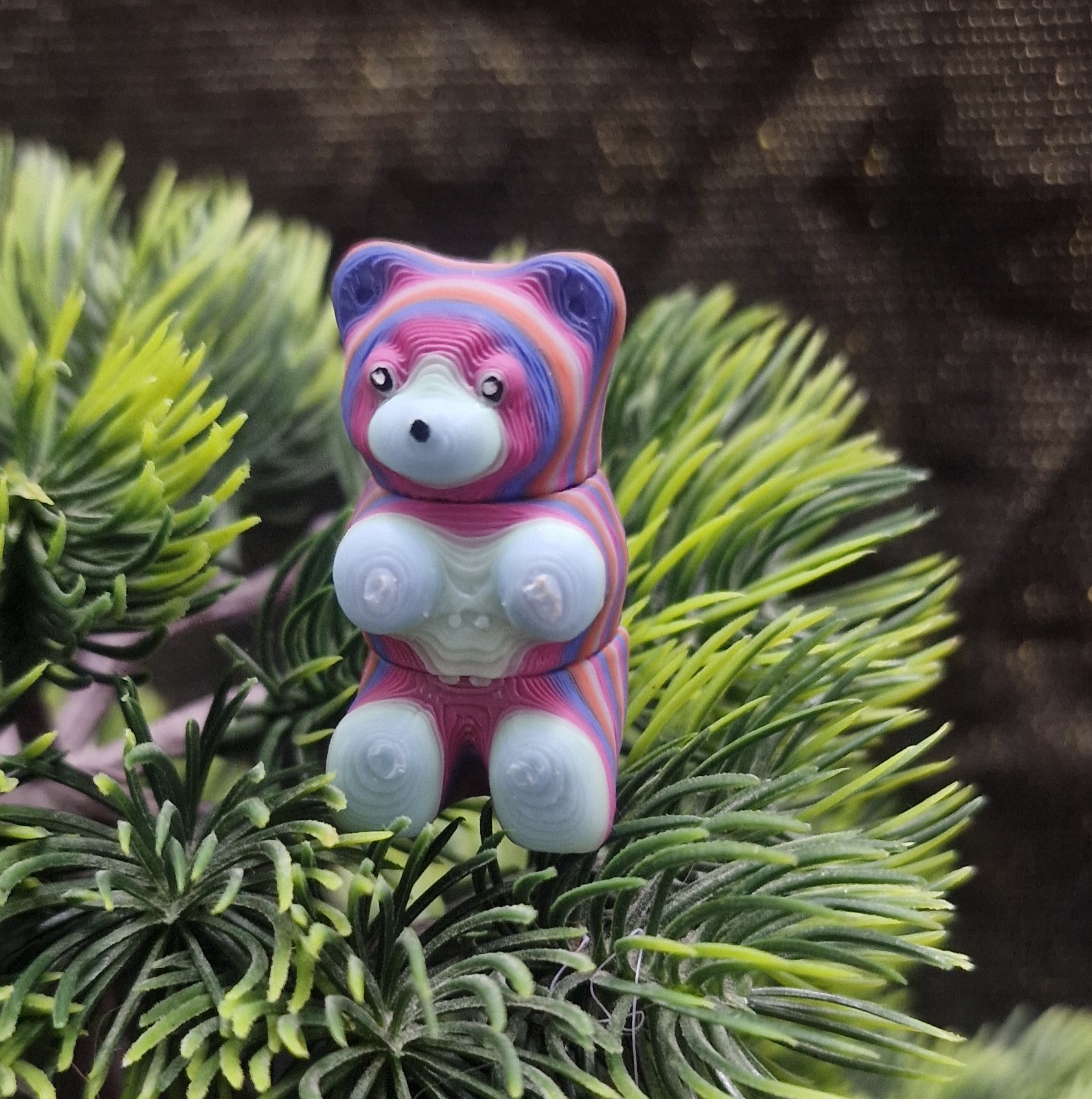 Petit Ours