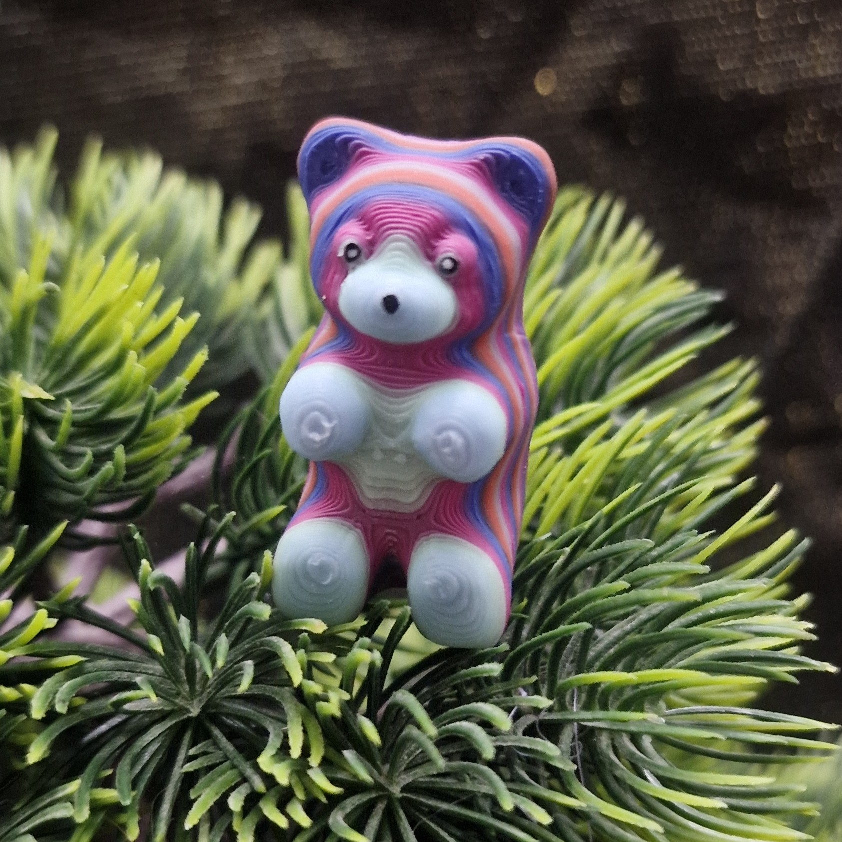 Petit Ours