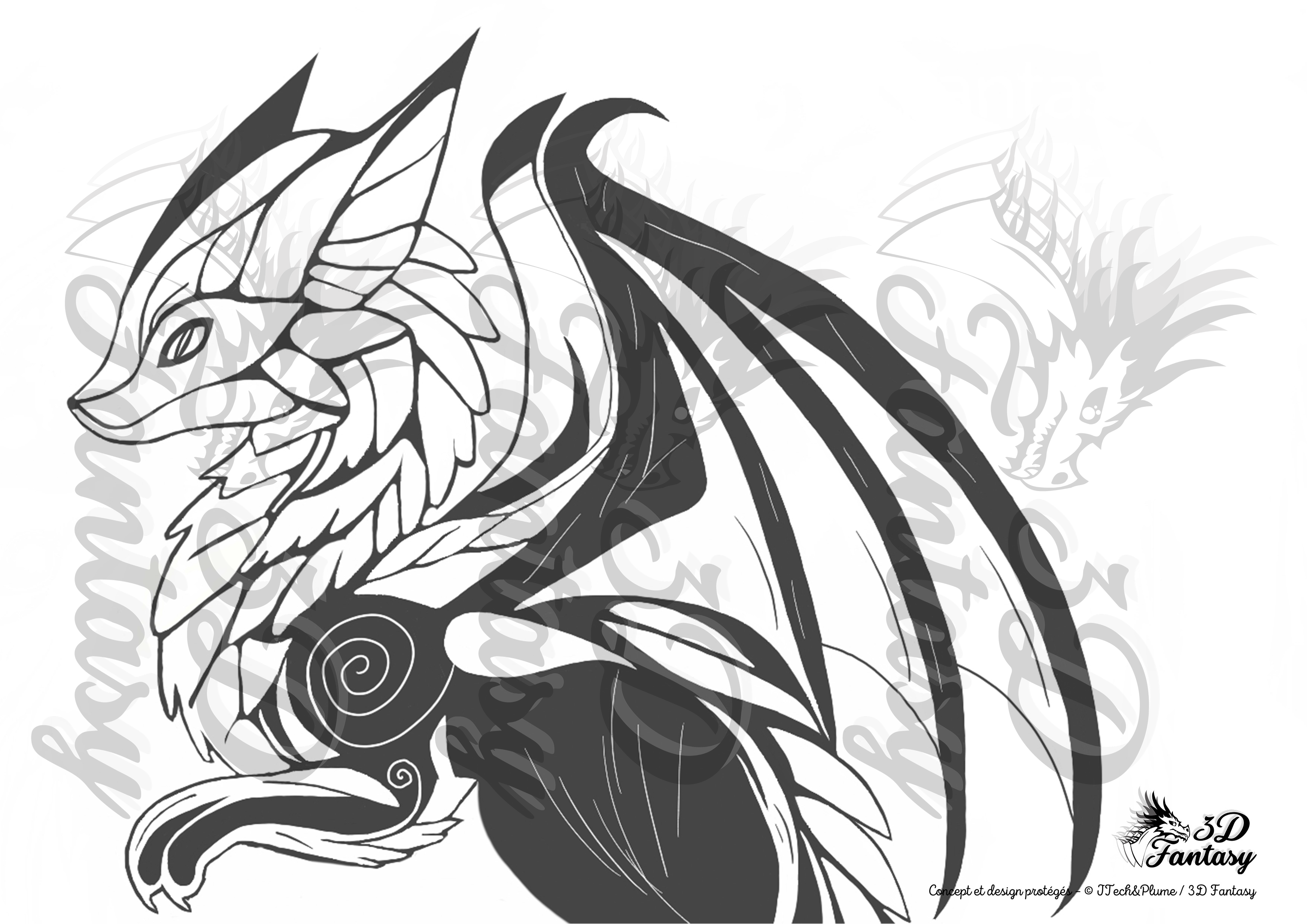 Print Dragon Renard Noir et Blanc