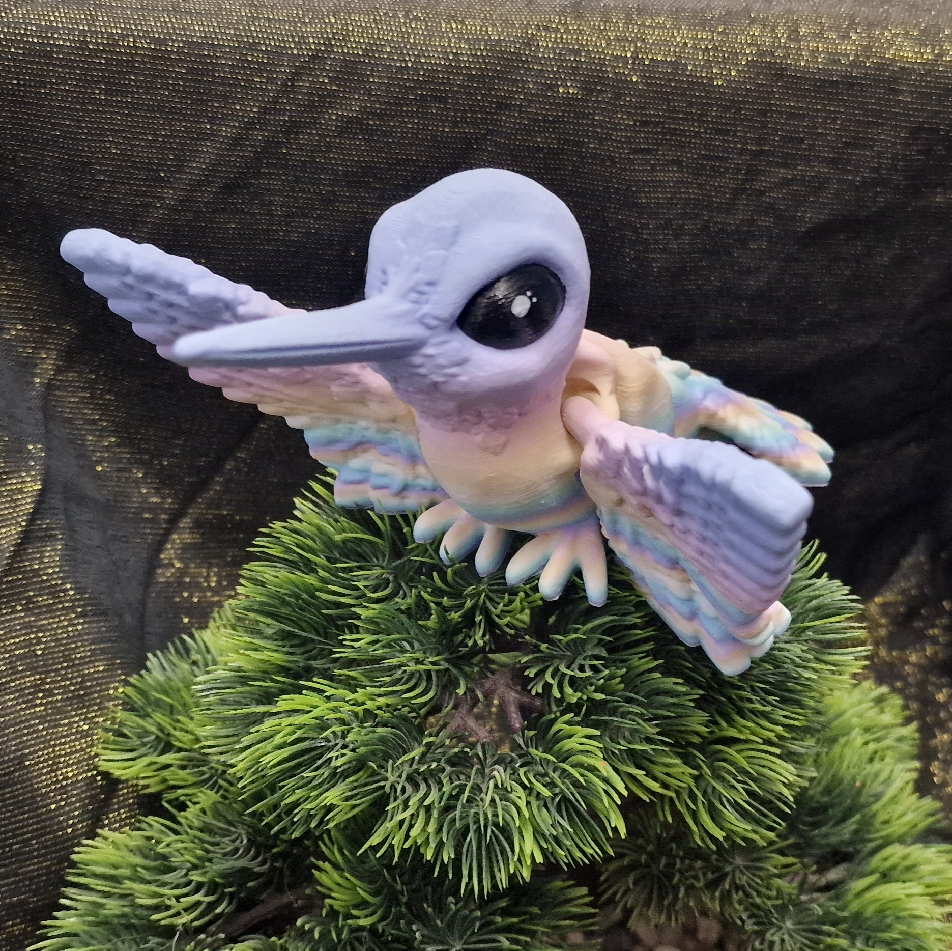 Bébé Colibri