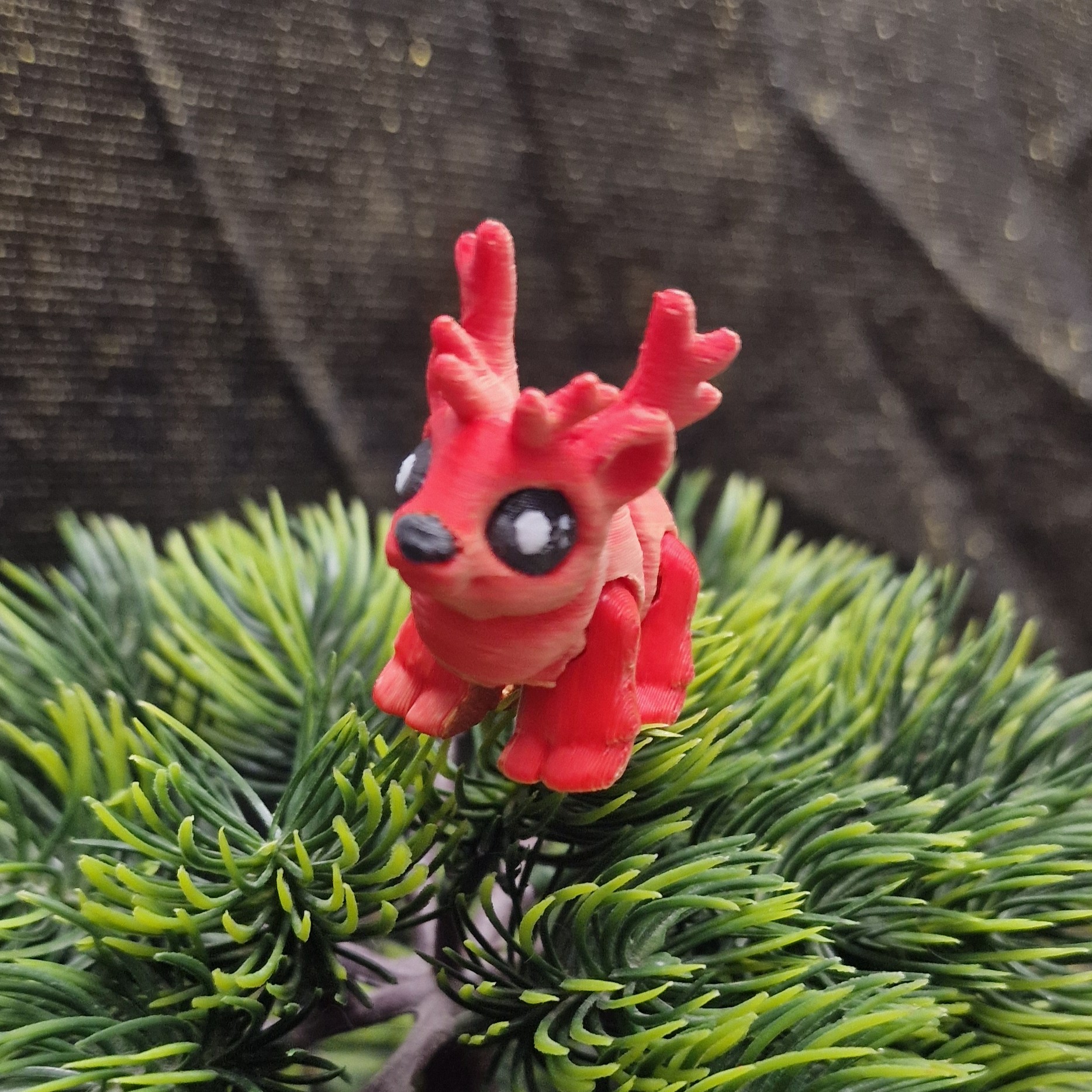 Nouveau-Né Renne Mâle