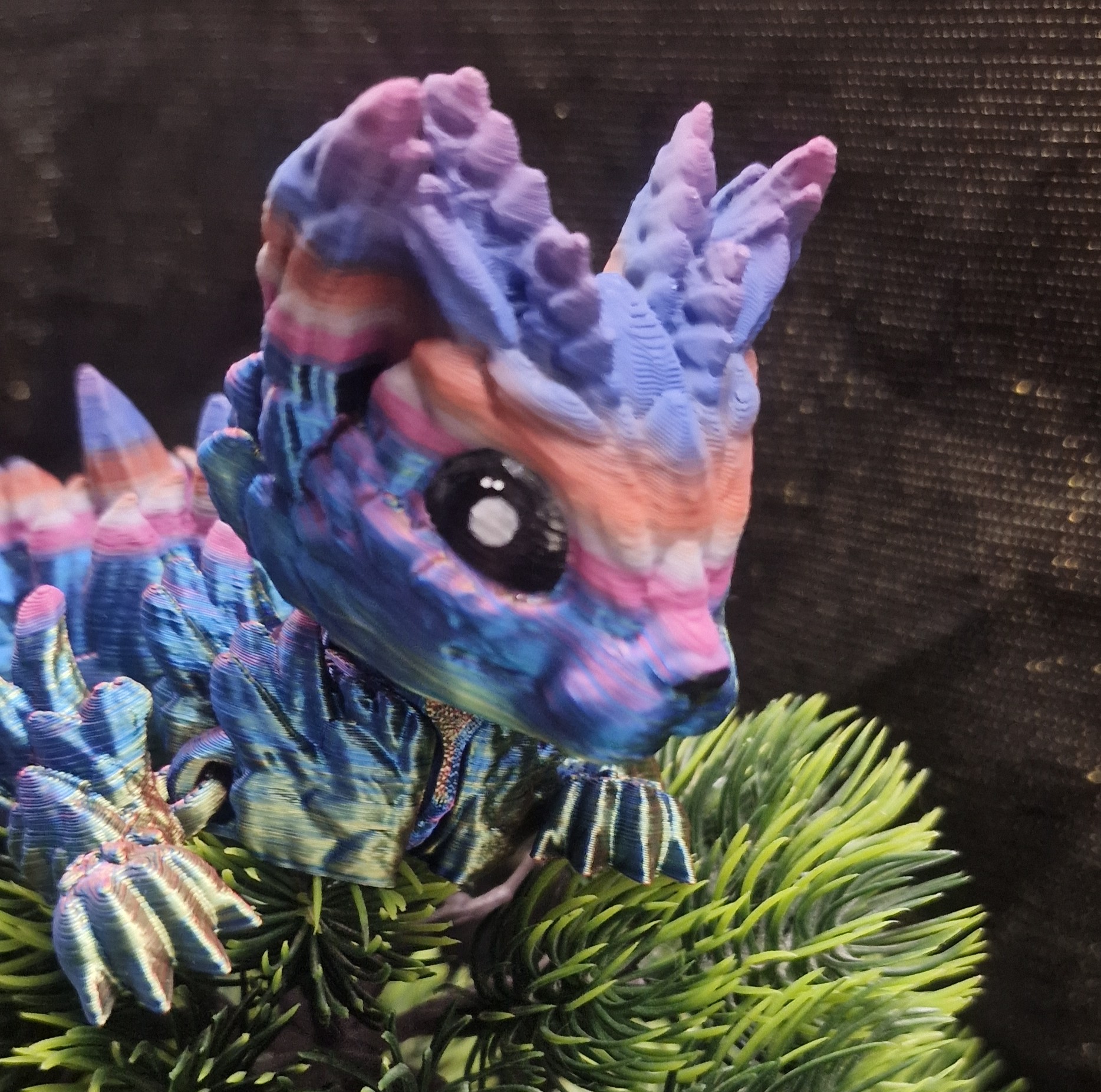 Bébé Dragon-Chat