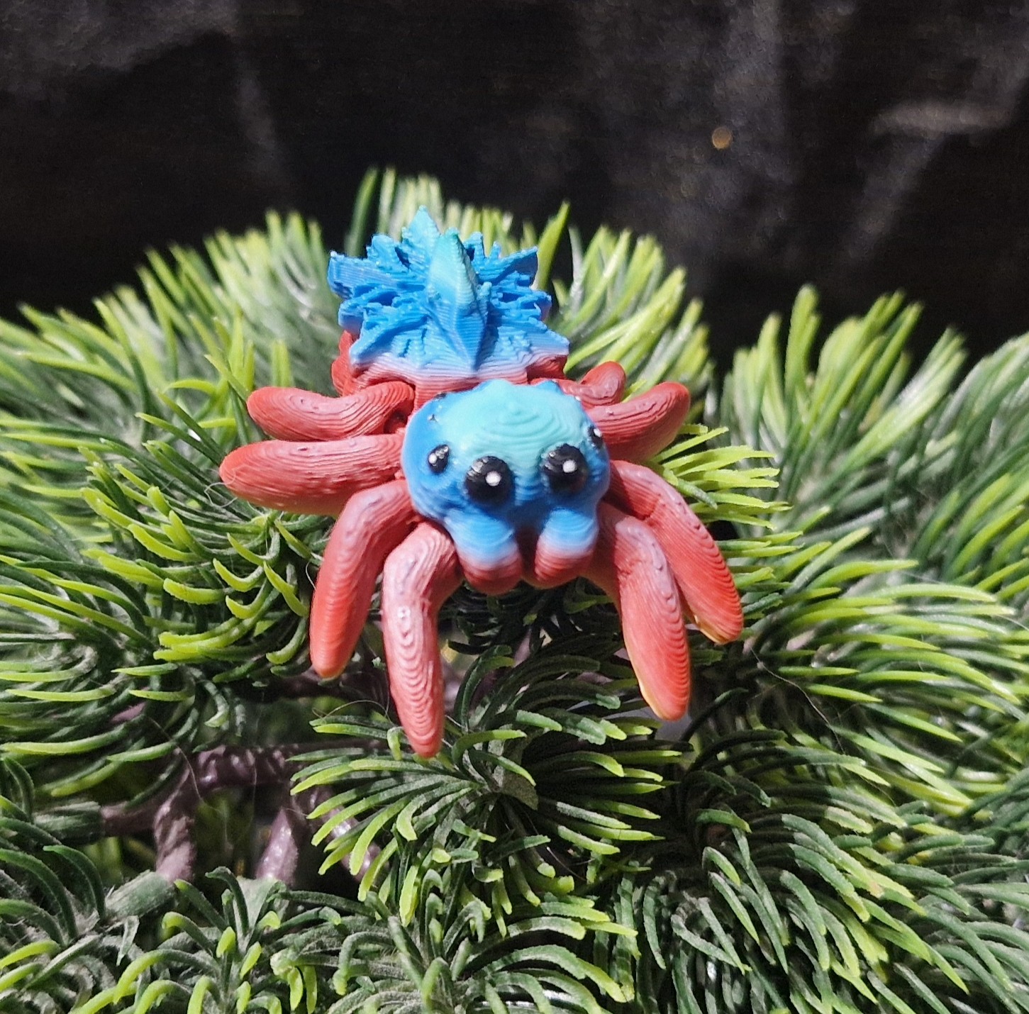 Petite Araignée de Flocon
