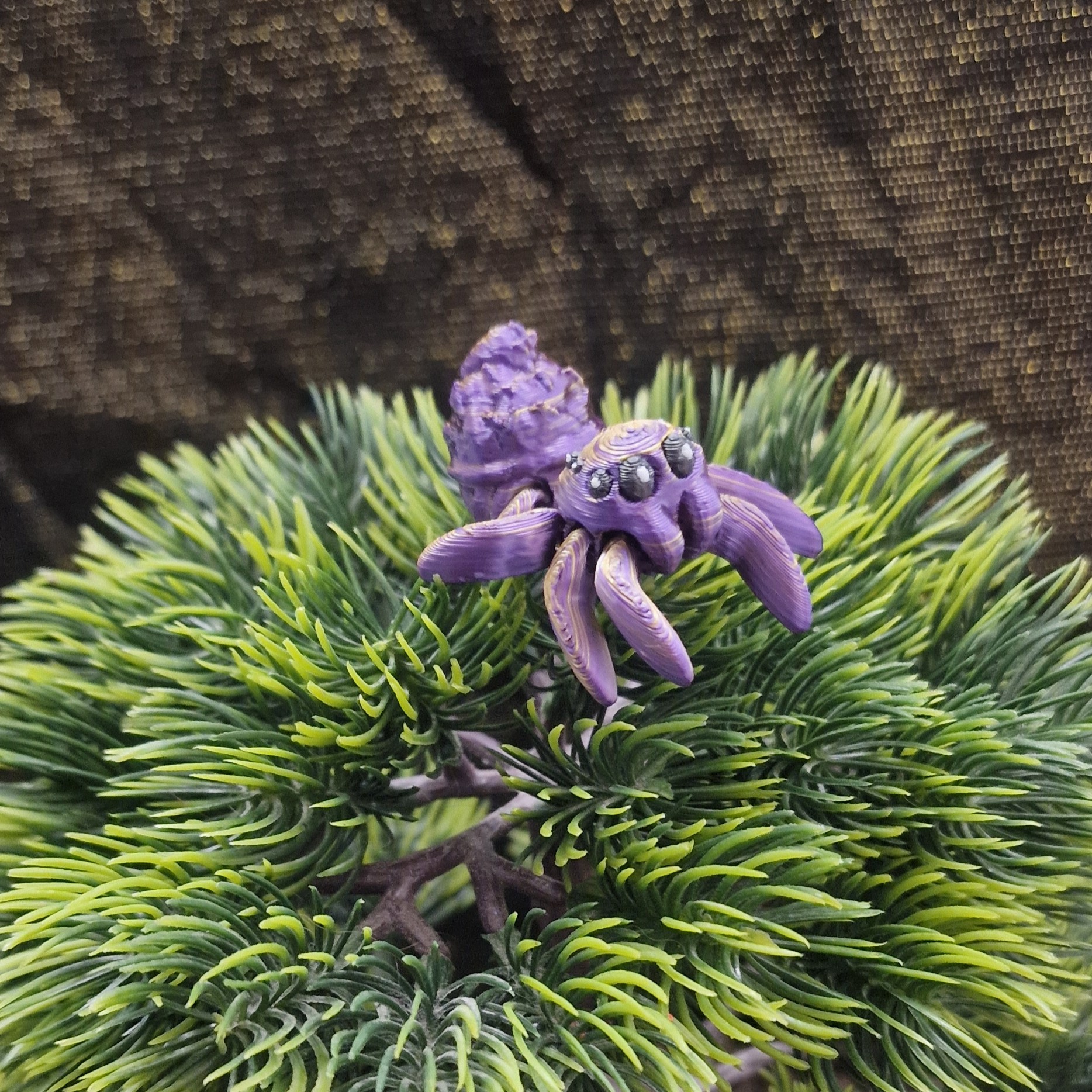 Petite Araignée Dessert