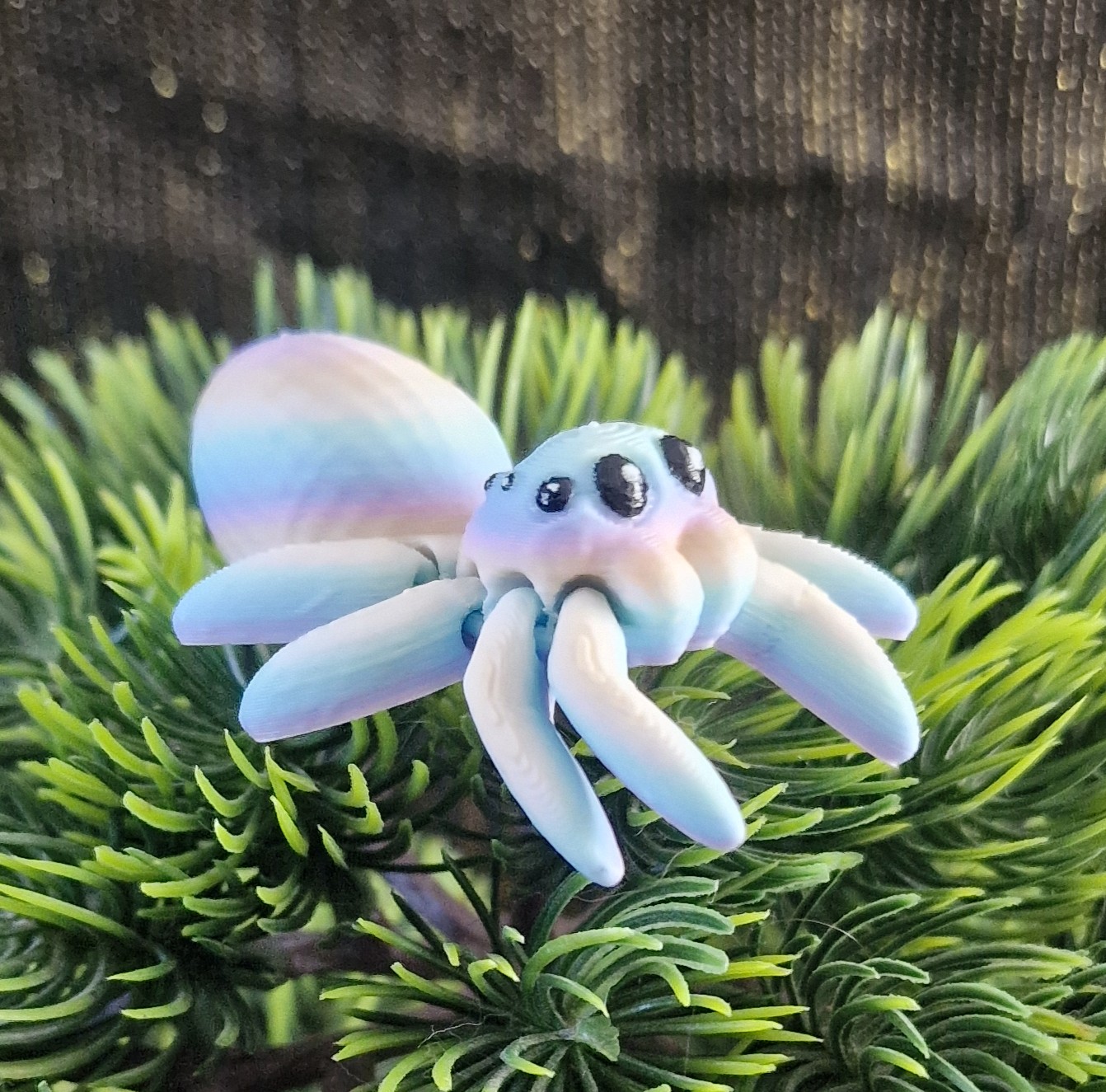 Petite Araignée Œuf