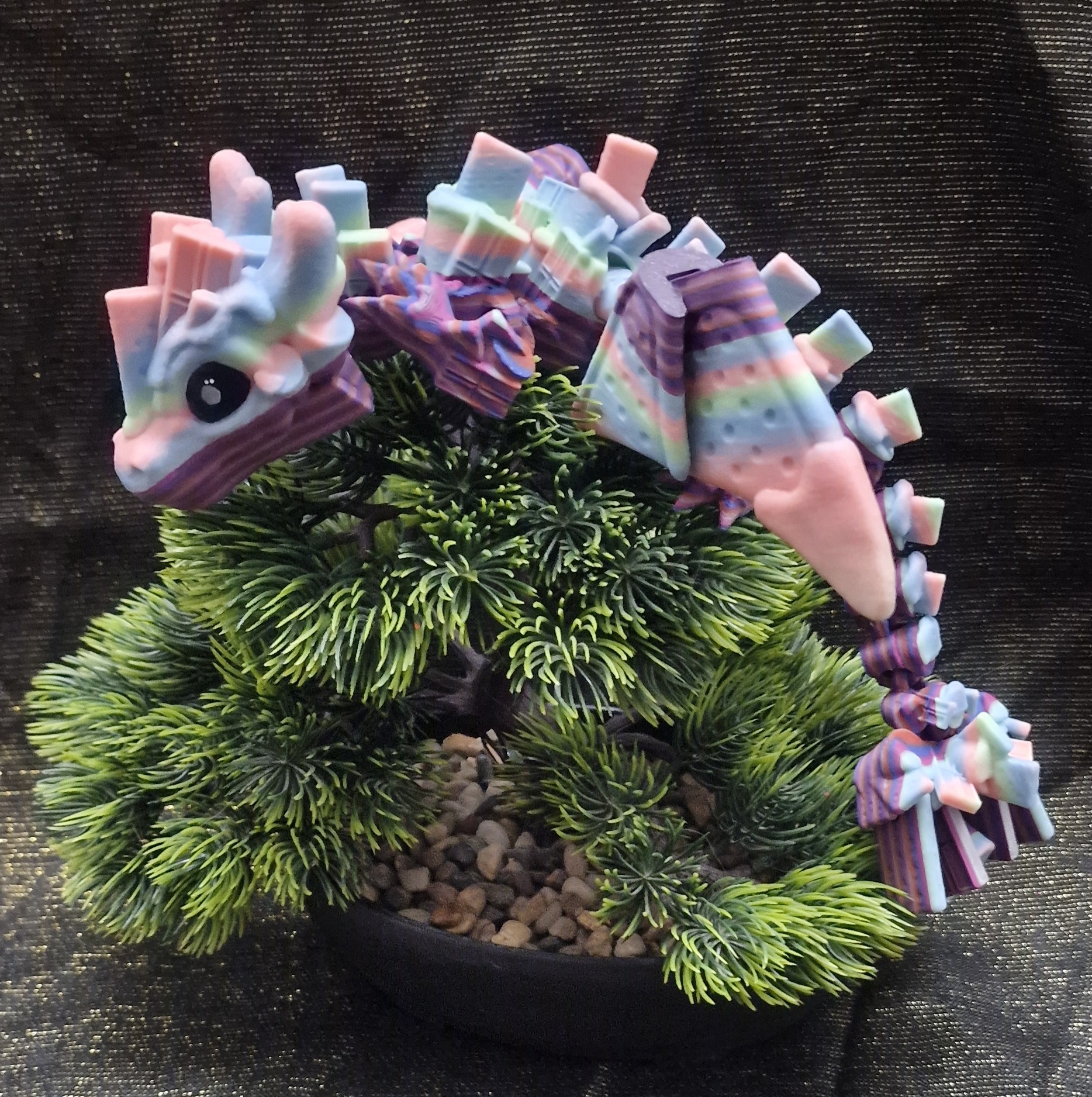 Bébé Dragon de Smores Ailé