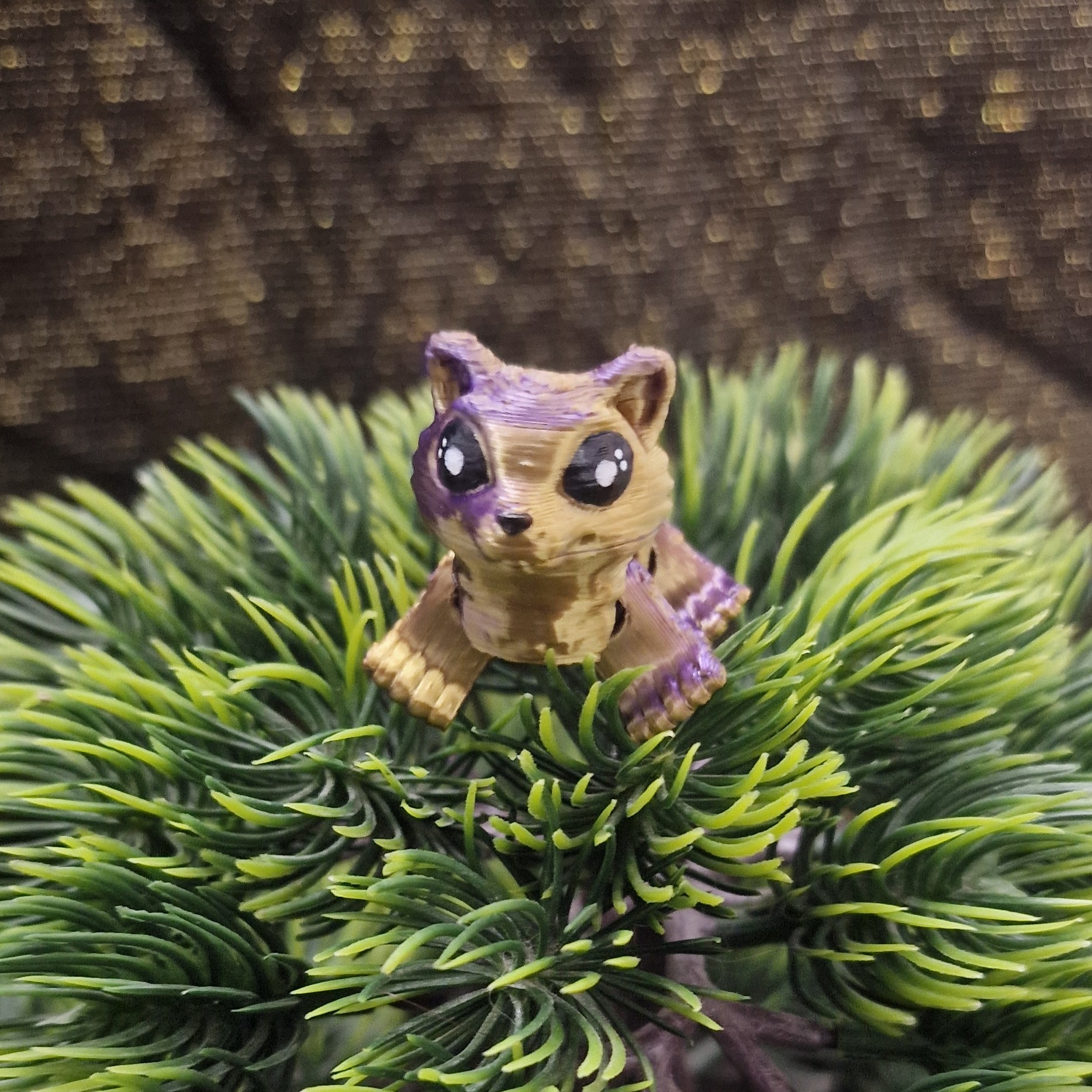 Nouveau-Né Raton-Laveur