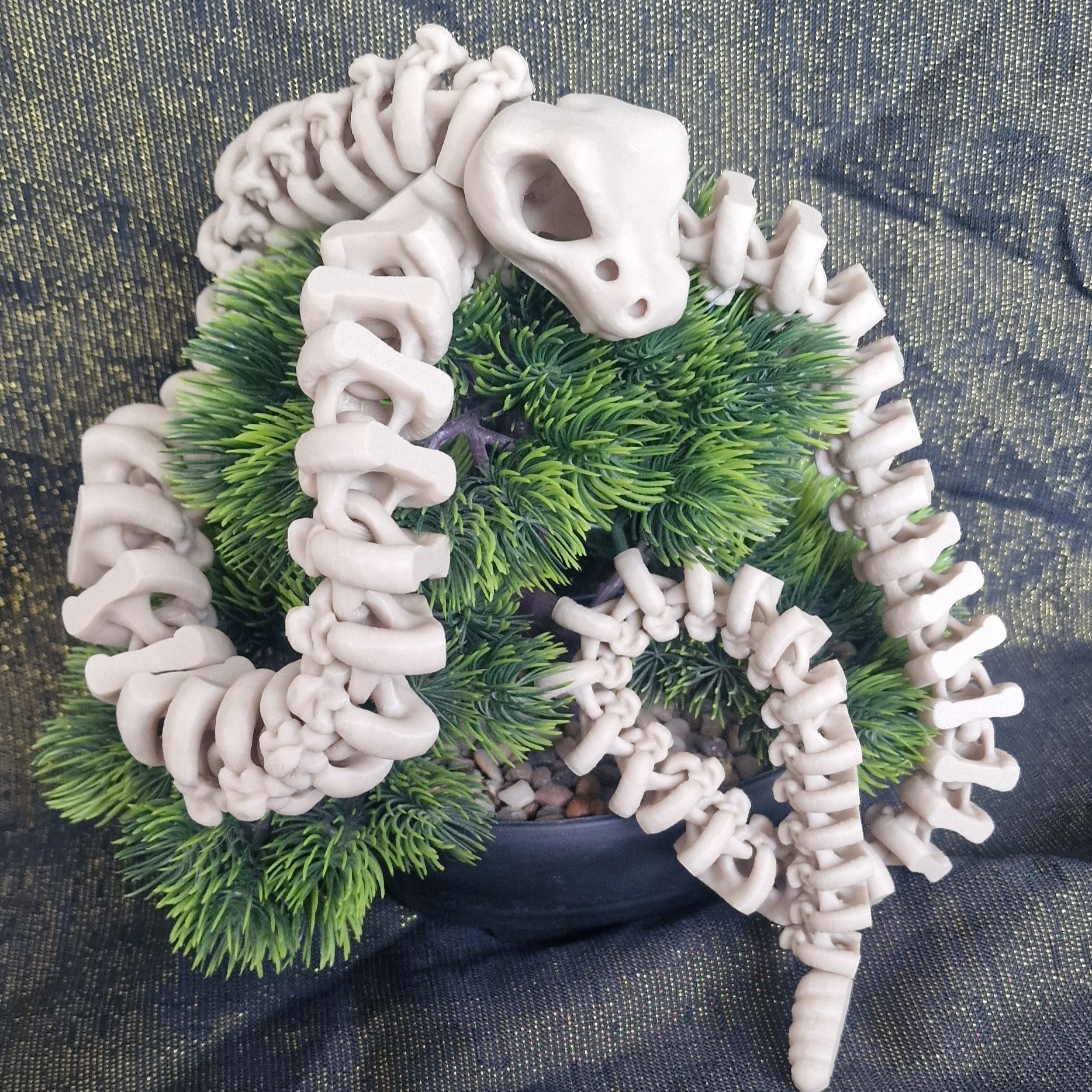 Crotale Squelettique