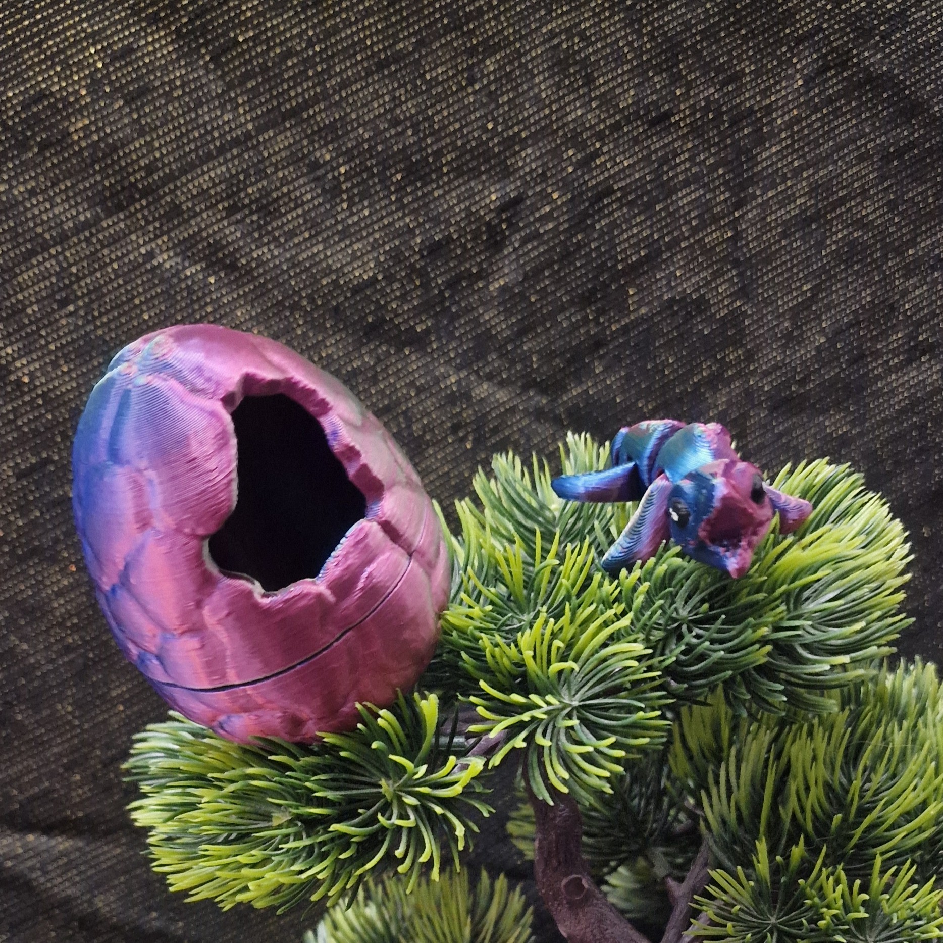 Nouveau-Né Mosasaure