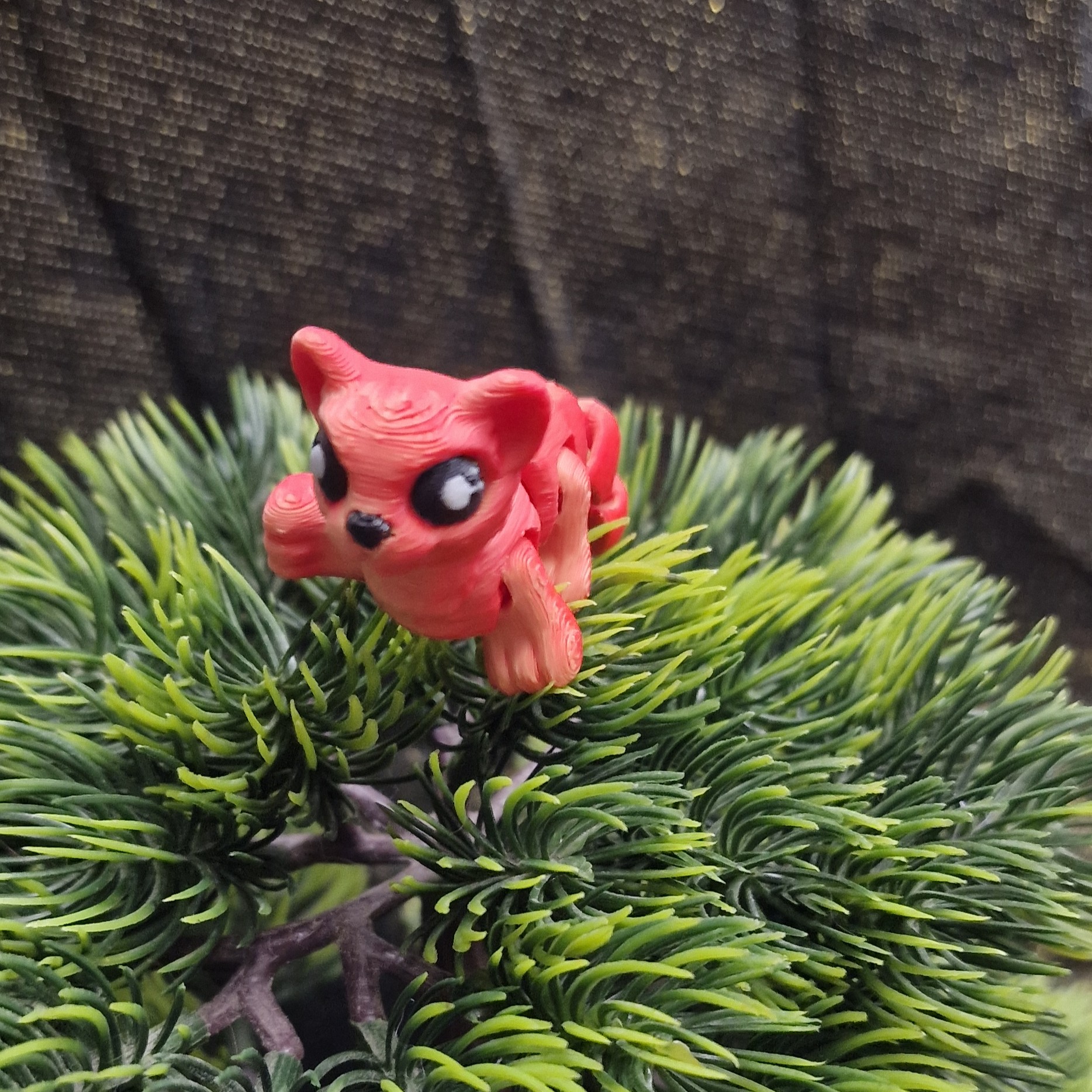 Nouveau-Né Leopard des Neiges