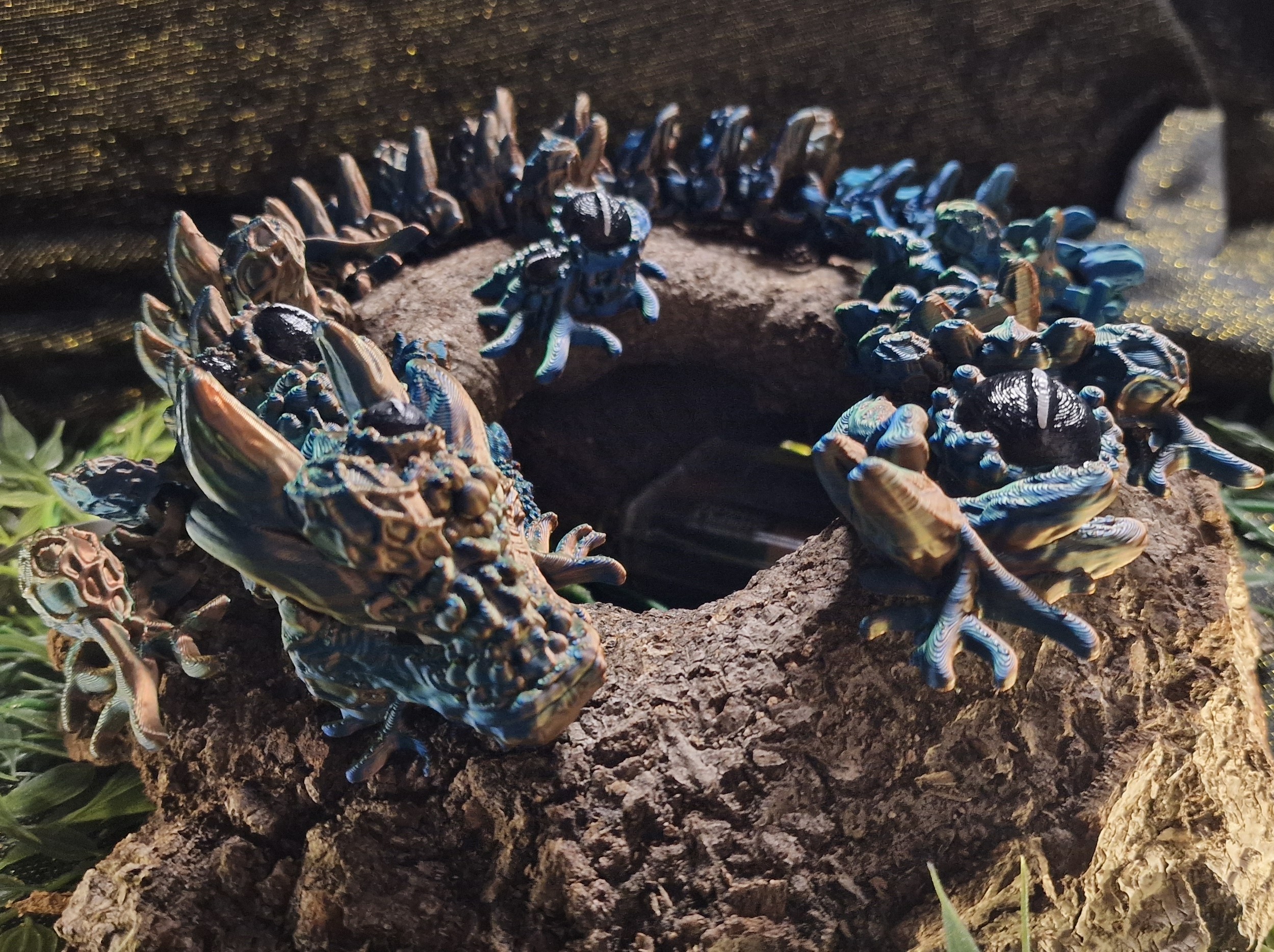 Dragon Infecté