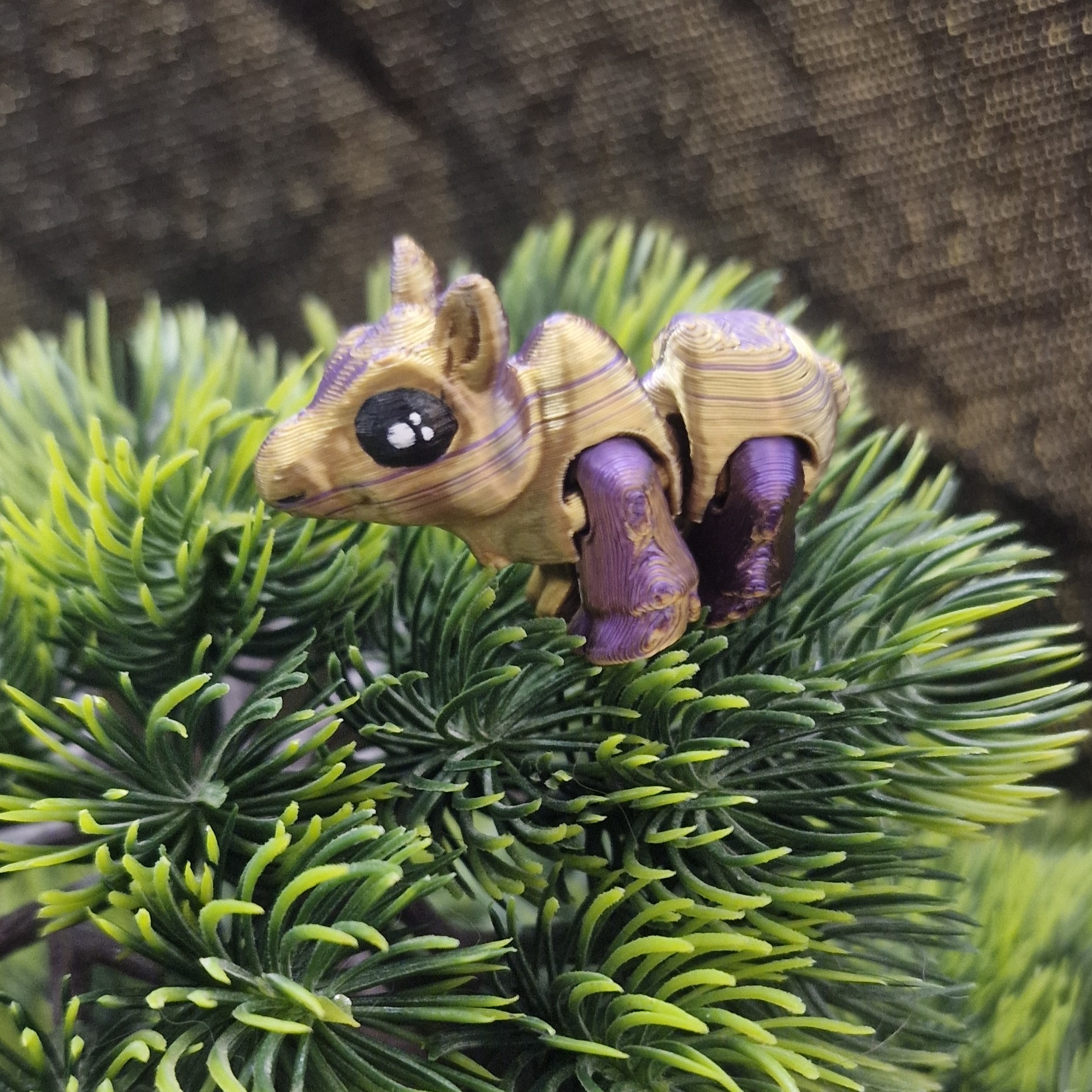 Nouveau-Né Elan Femelle