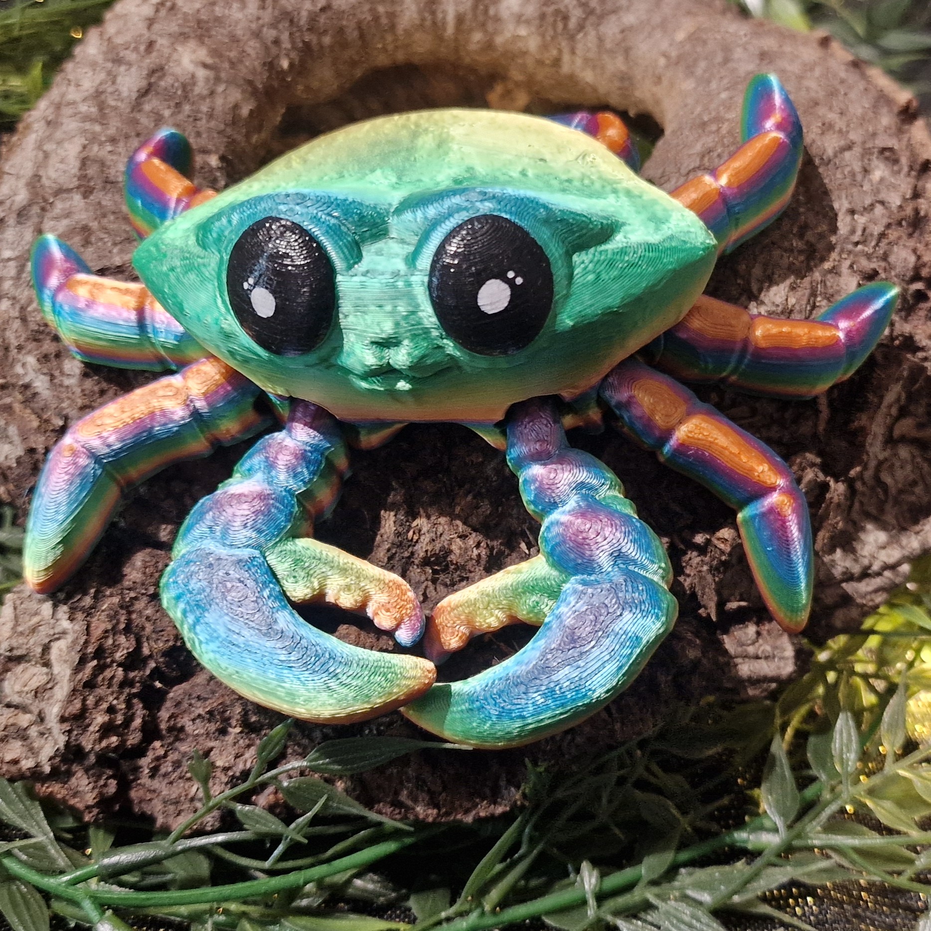 Bébé Crabe