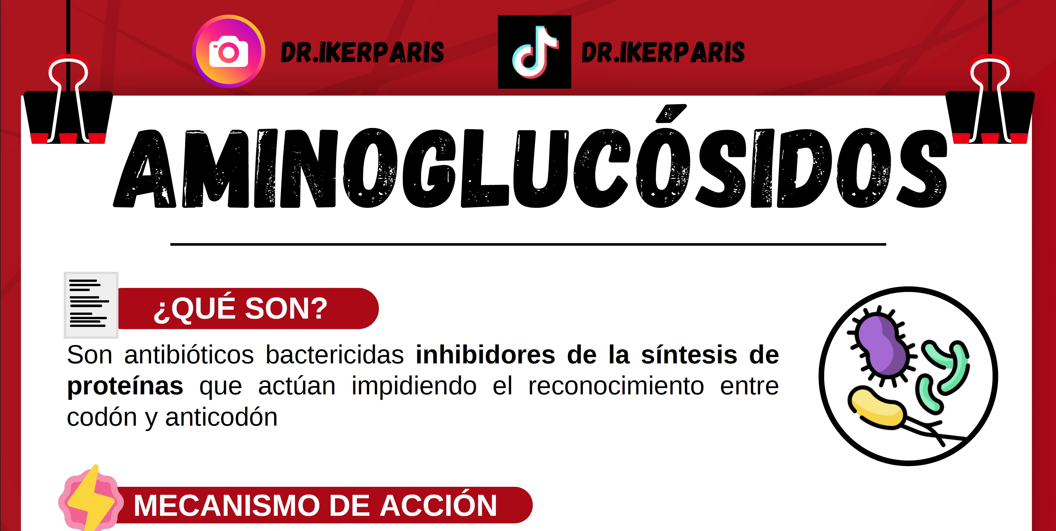 Paquete Flashcards Antibióticos GENERAL