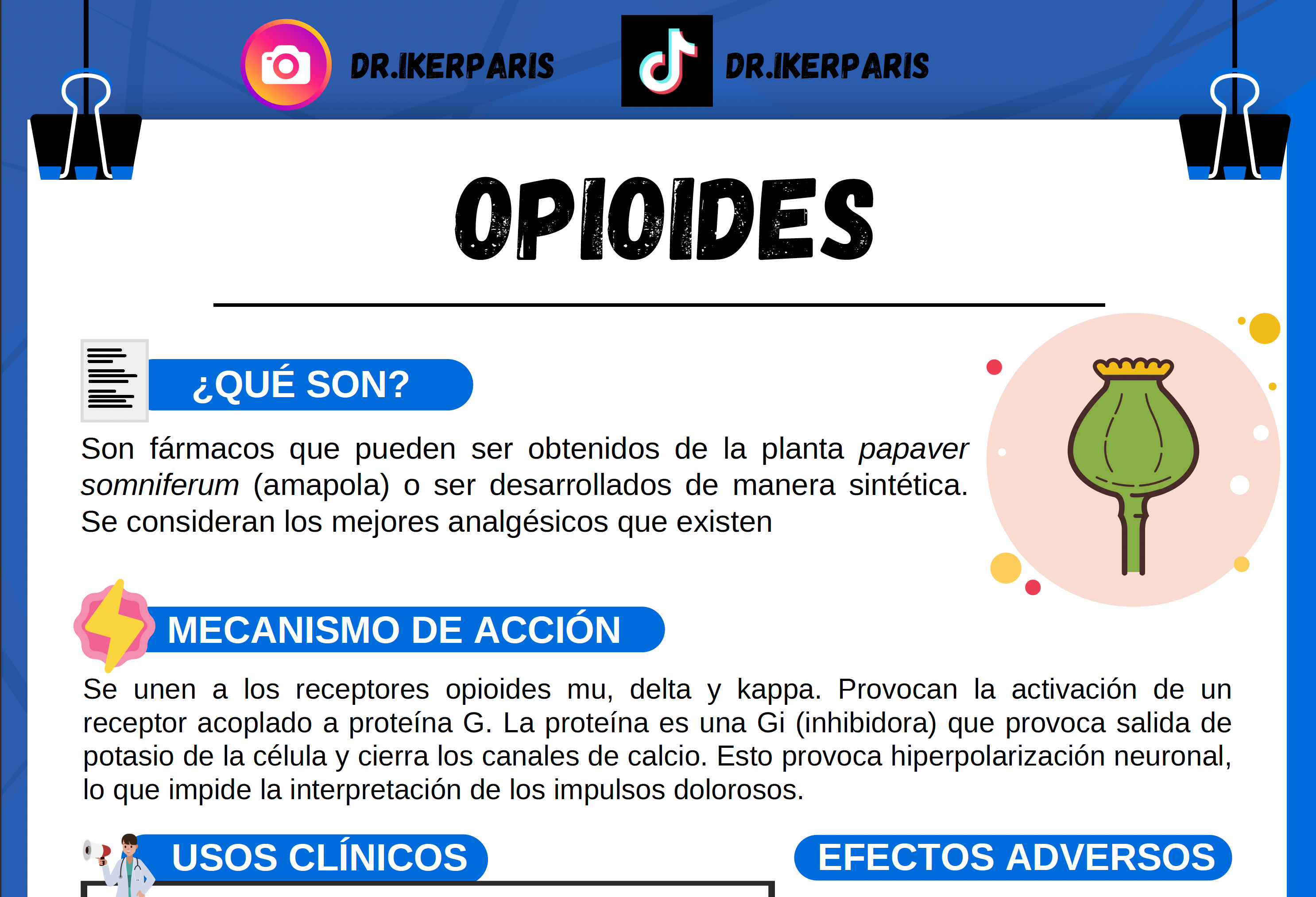 Paquete Flashcards Opioides
