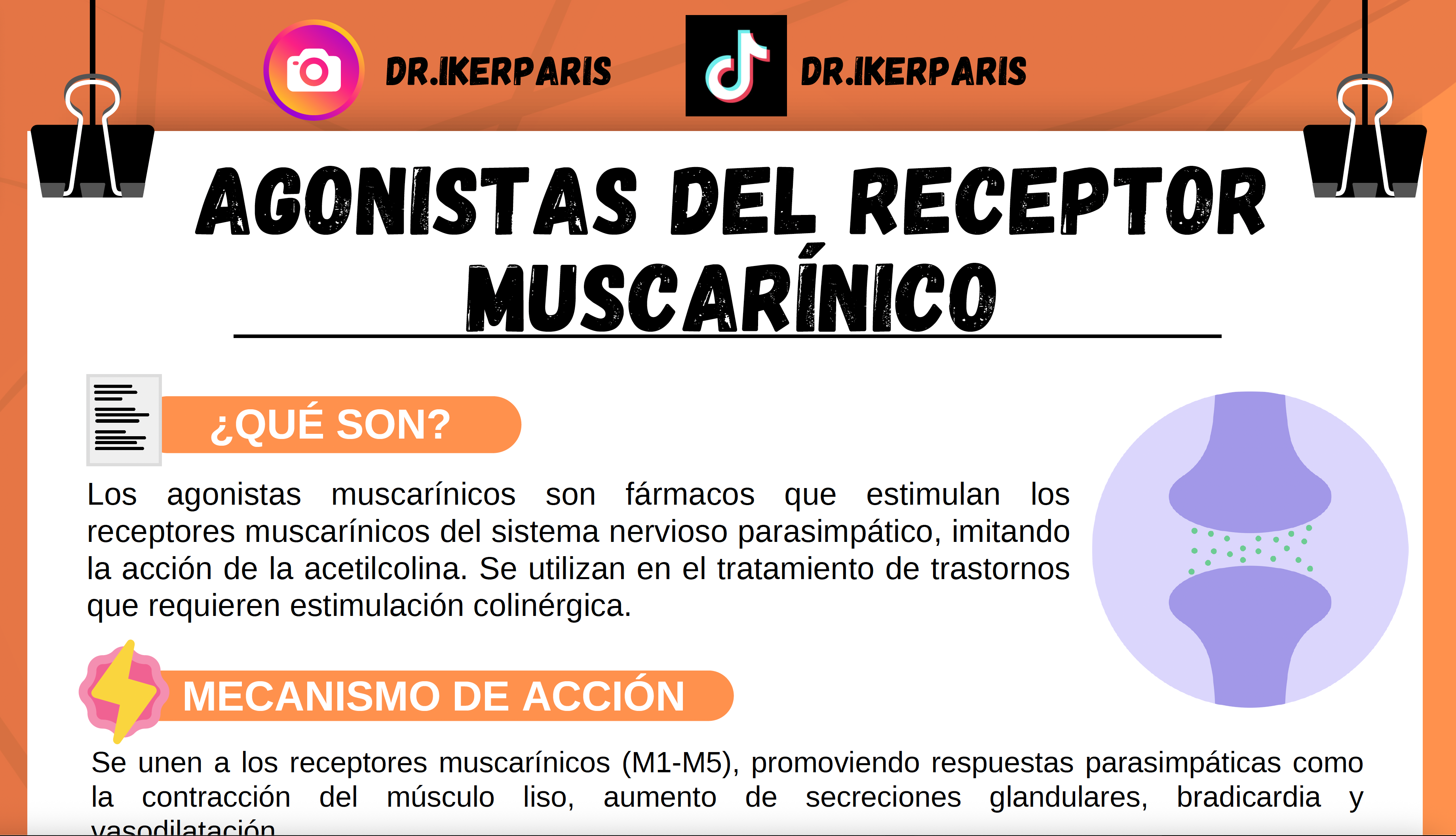 Paquete Flashcards Agonistas muscarínicos e inhibidores de la colinesterasa