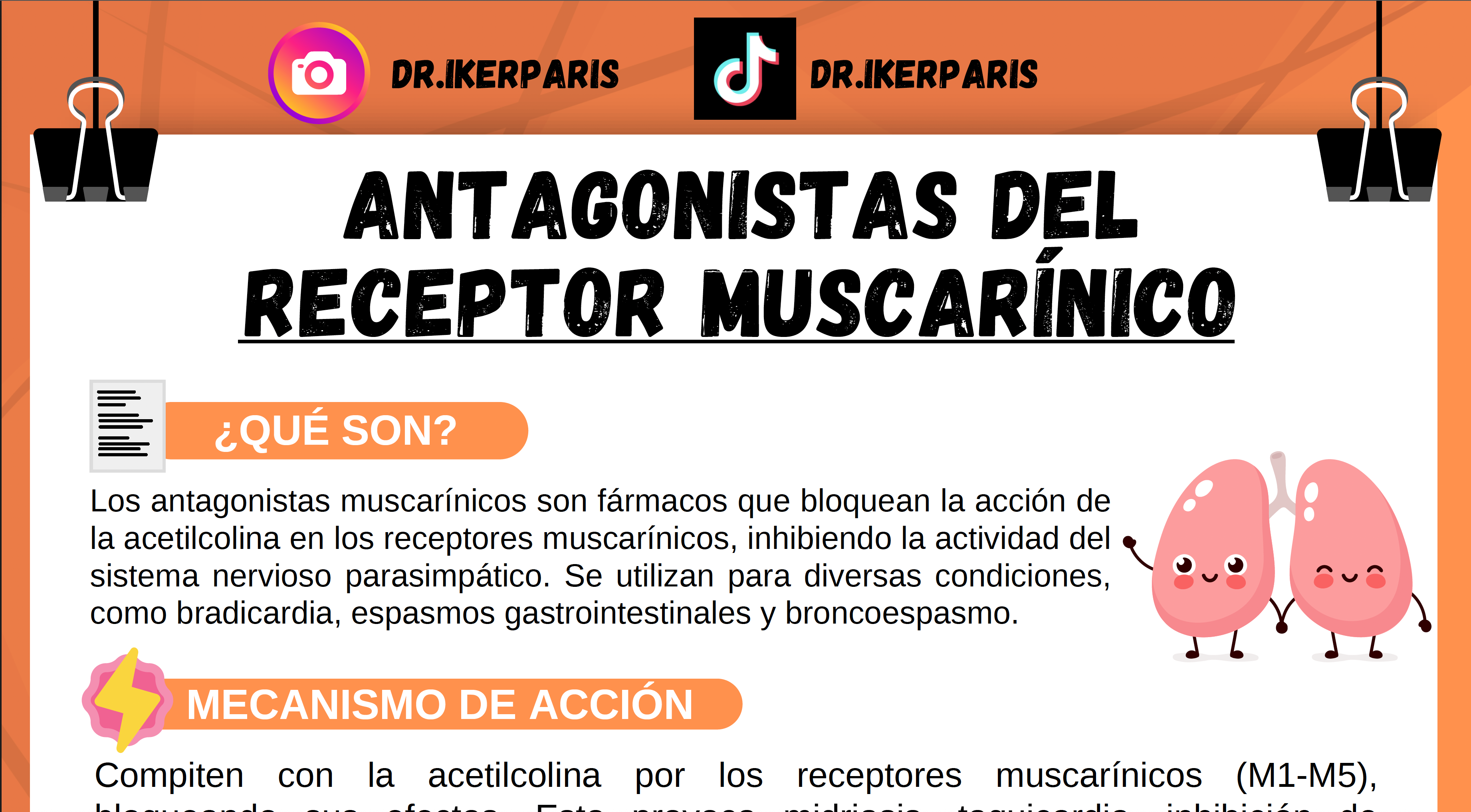 Paquete Flashcards Antagonistas muscarínicos 