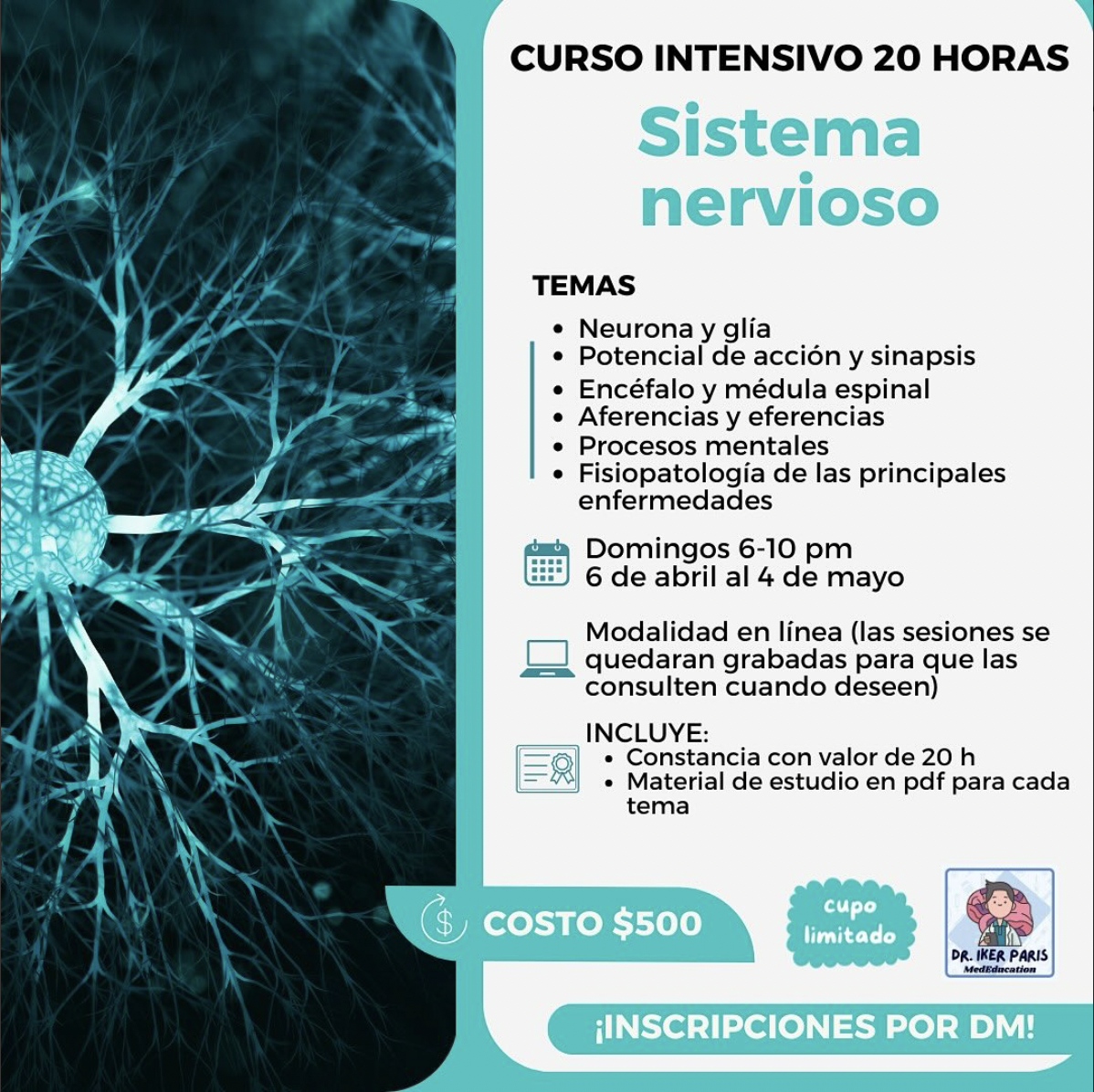 Curso intensivo sistema nervioso