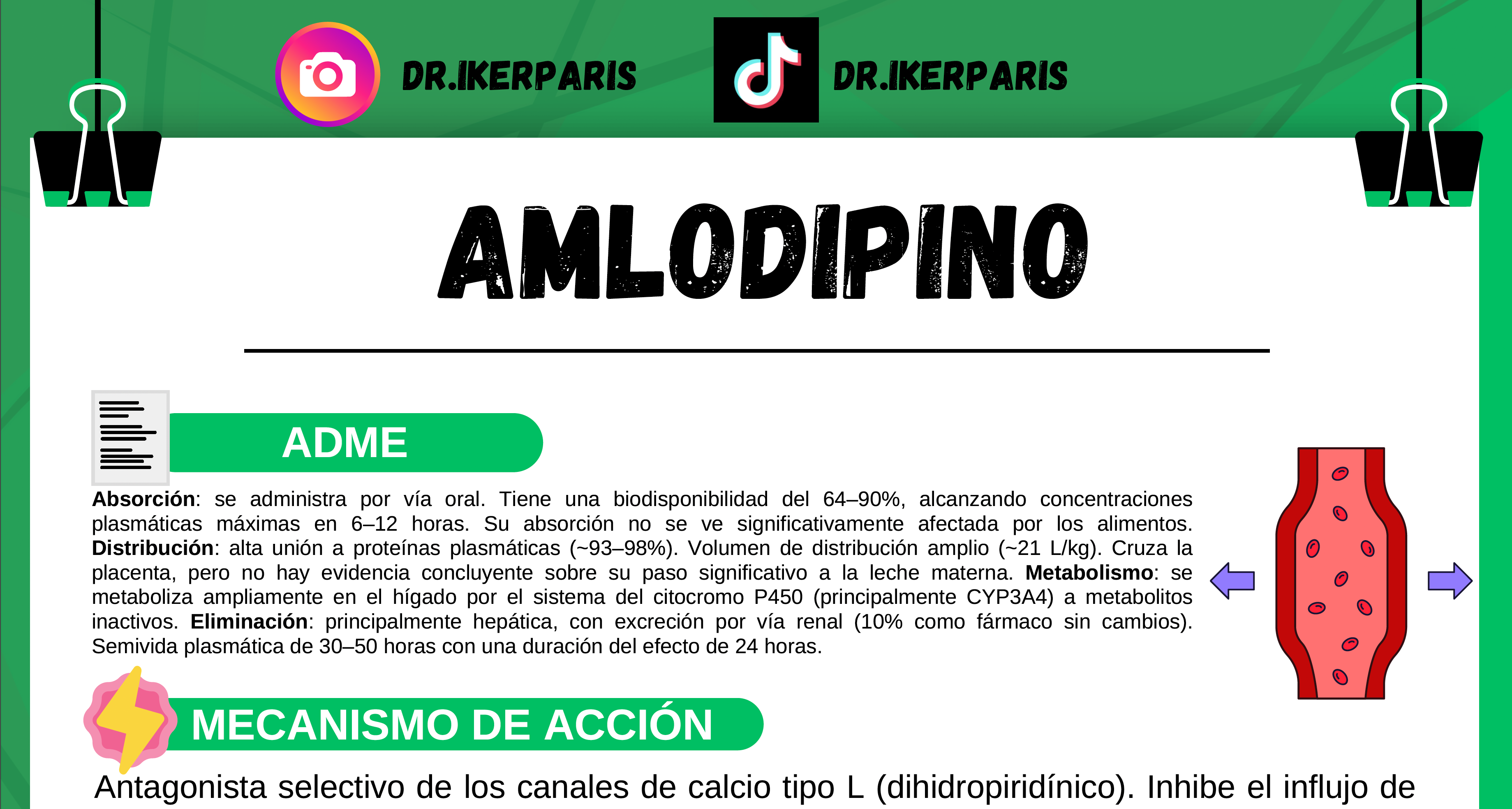 Paquete Flashcards Calcioantagonistas