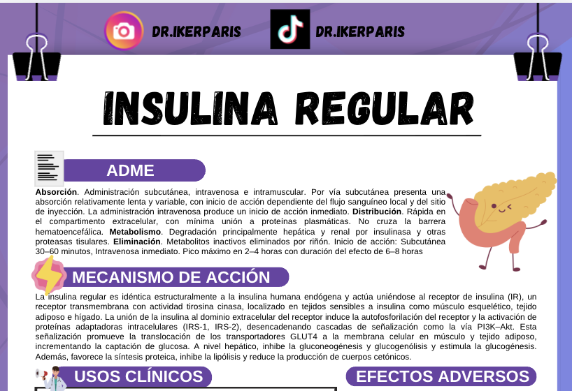 Paquete Flashcards Insulinas