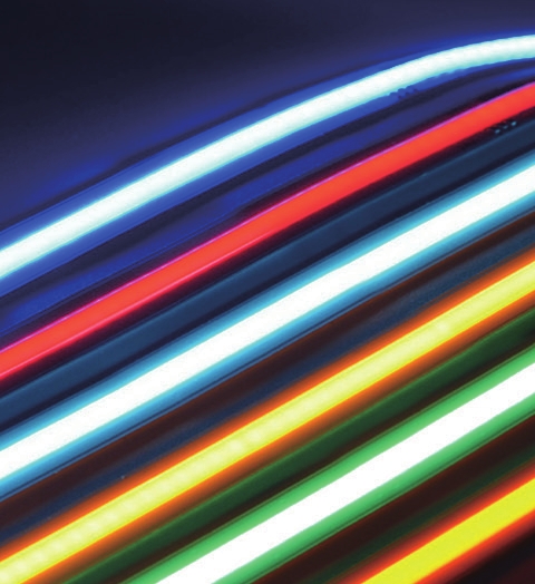 CCT COB LED Strip Light