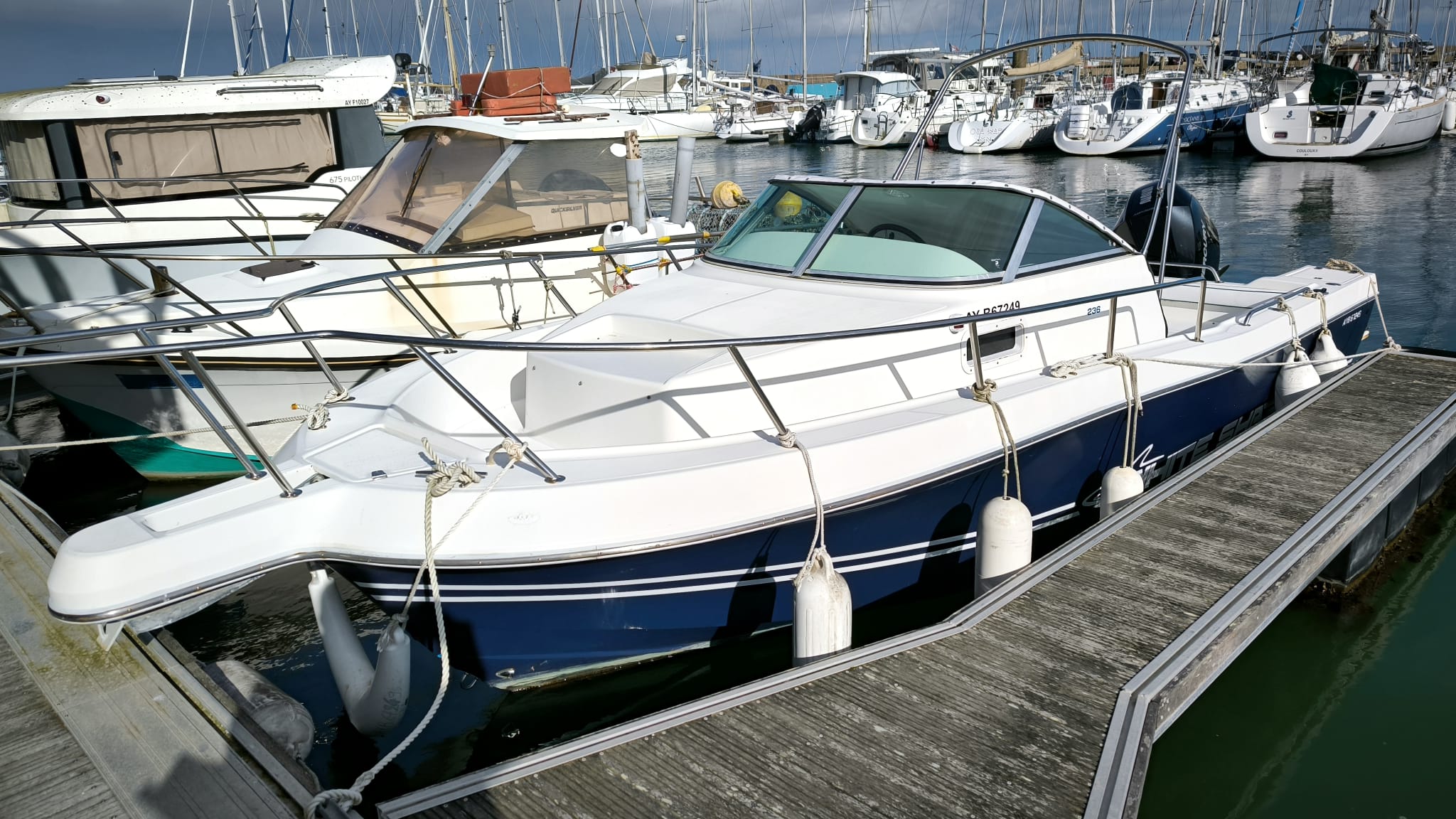 White Shark 236 année 2000 Mercury 225cv V6 2021 88 heures TBE
