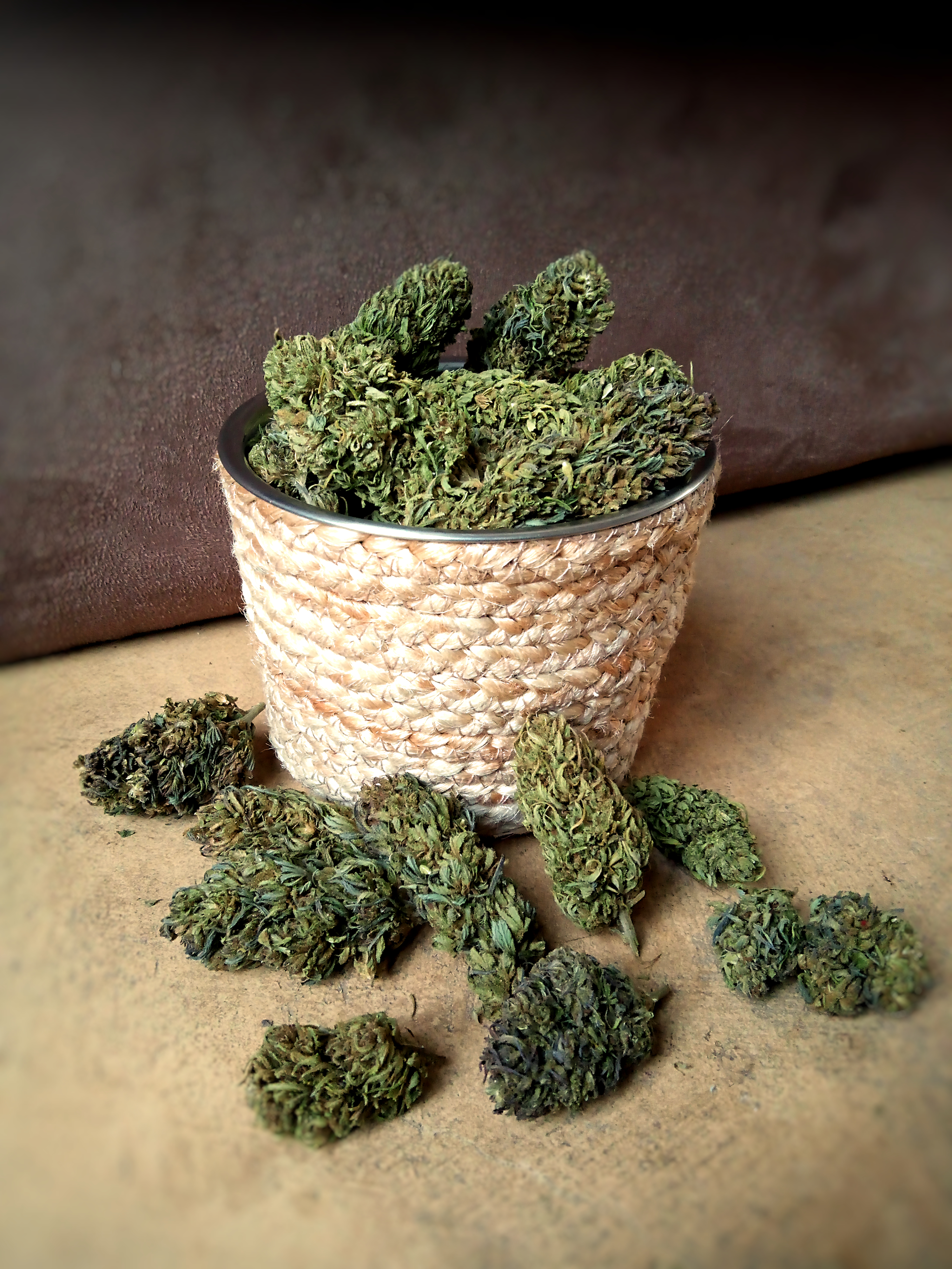 "FLEUR DE CHANVRE" 10GR