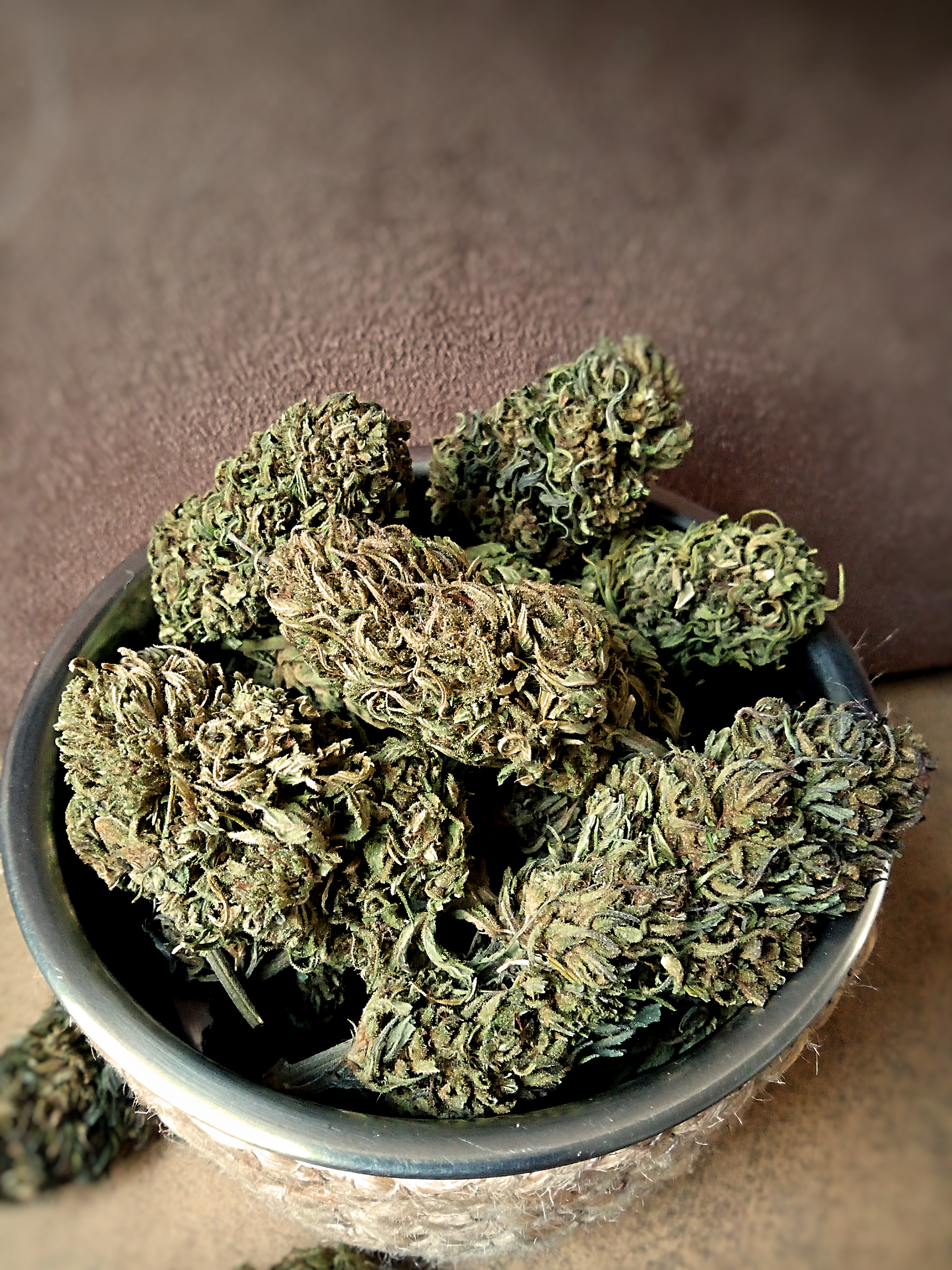 "FLEUR DE CHANVRE" 10GR