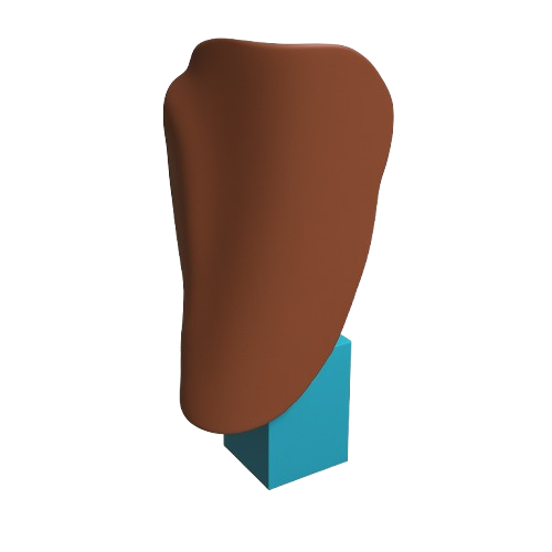 Project: Design and manufacture of reinforcement and protection orthoses.