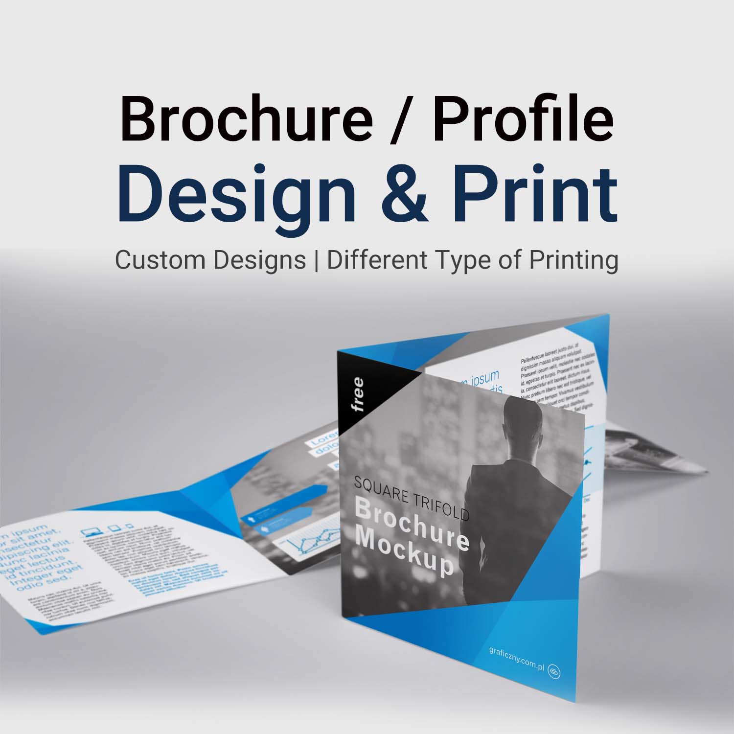 Brochure / Company Profile 