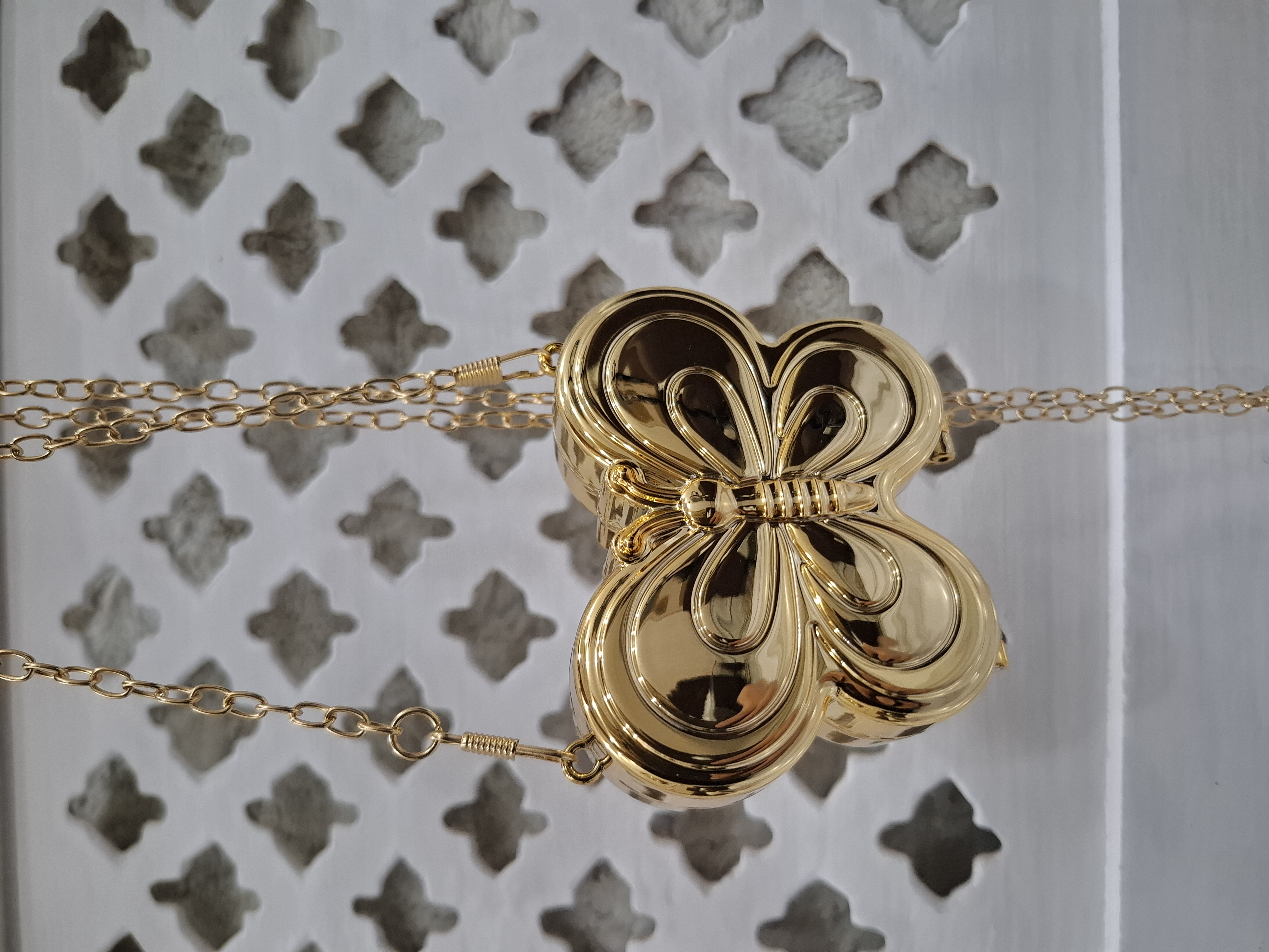 Mini Acrylic Butterfly Clutch