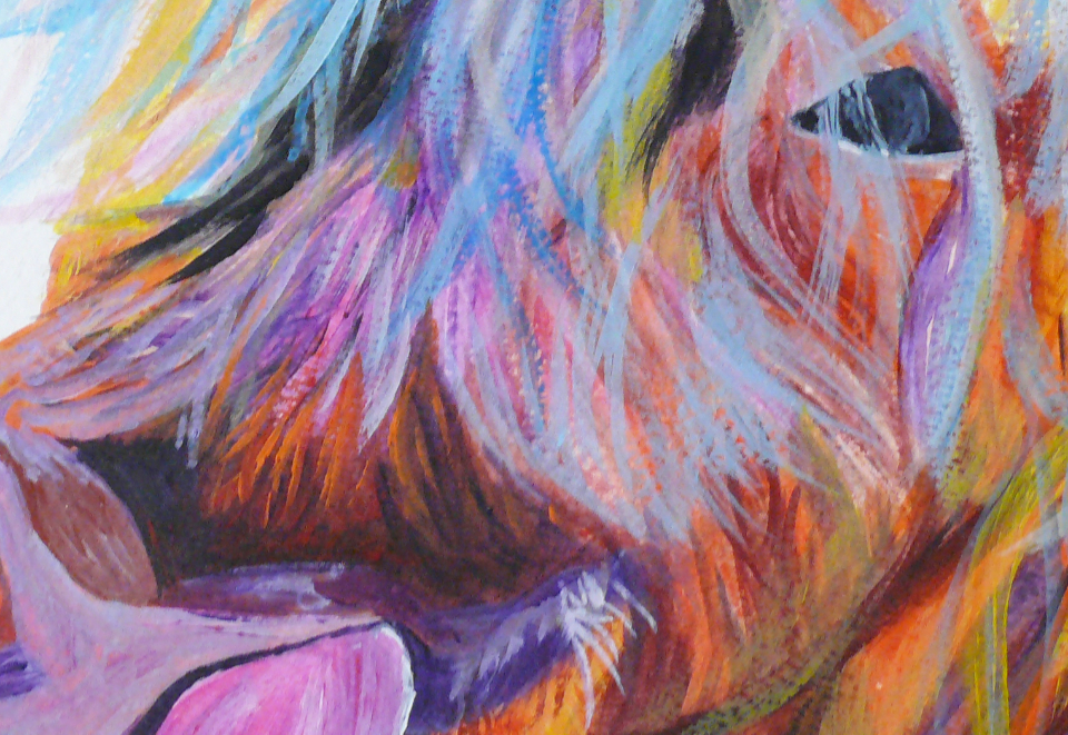 DOUGAL THE HIGHLANDER - ORIGINAL