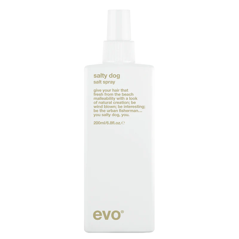 Evo salty dog paplūdimio tekstūros purškalas