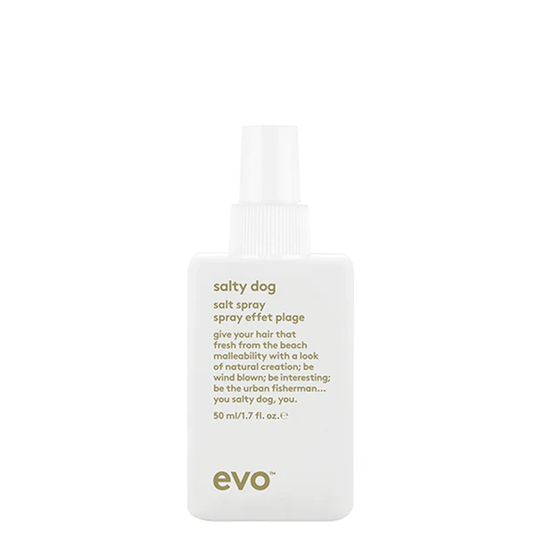 Evo salty dog paplūdimio tekstūros purškalas