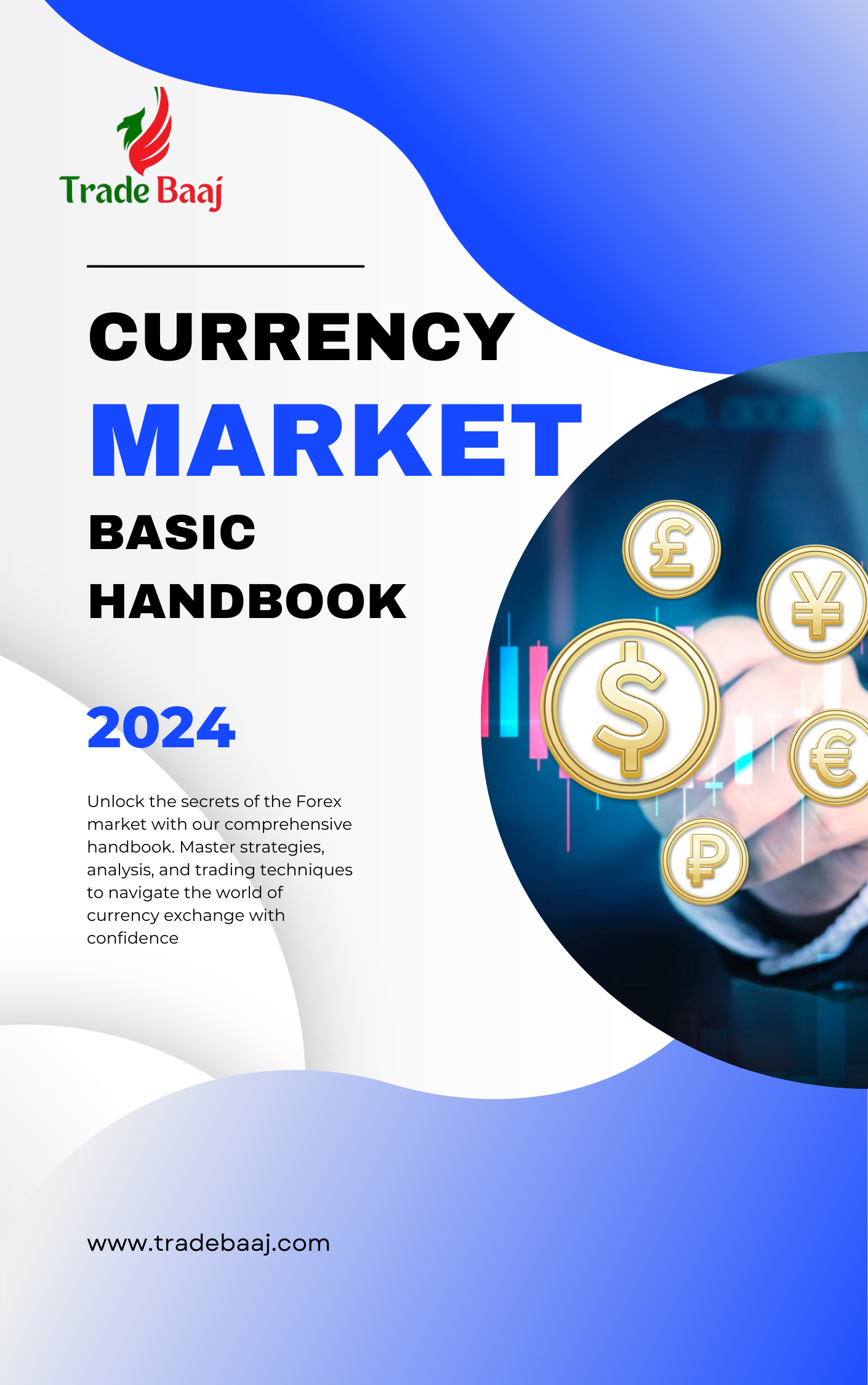 Currency Market Basic